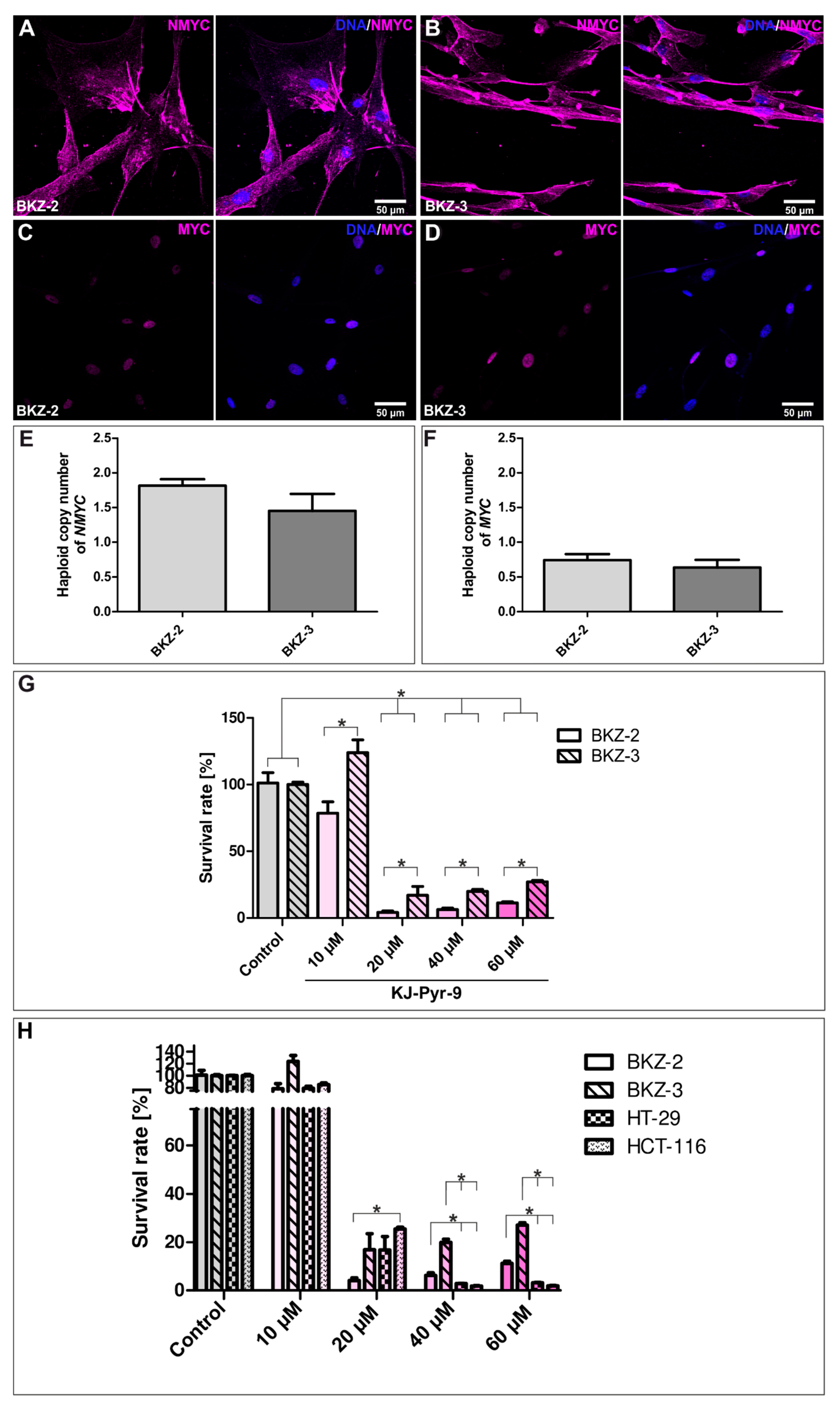Cancers 12 02582 g011 Cancers 12 02582 g011