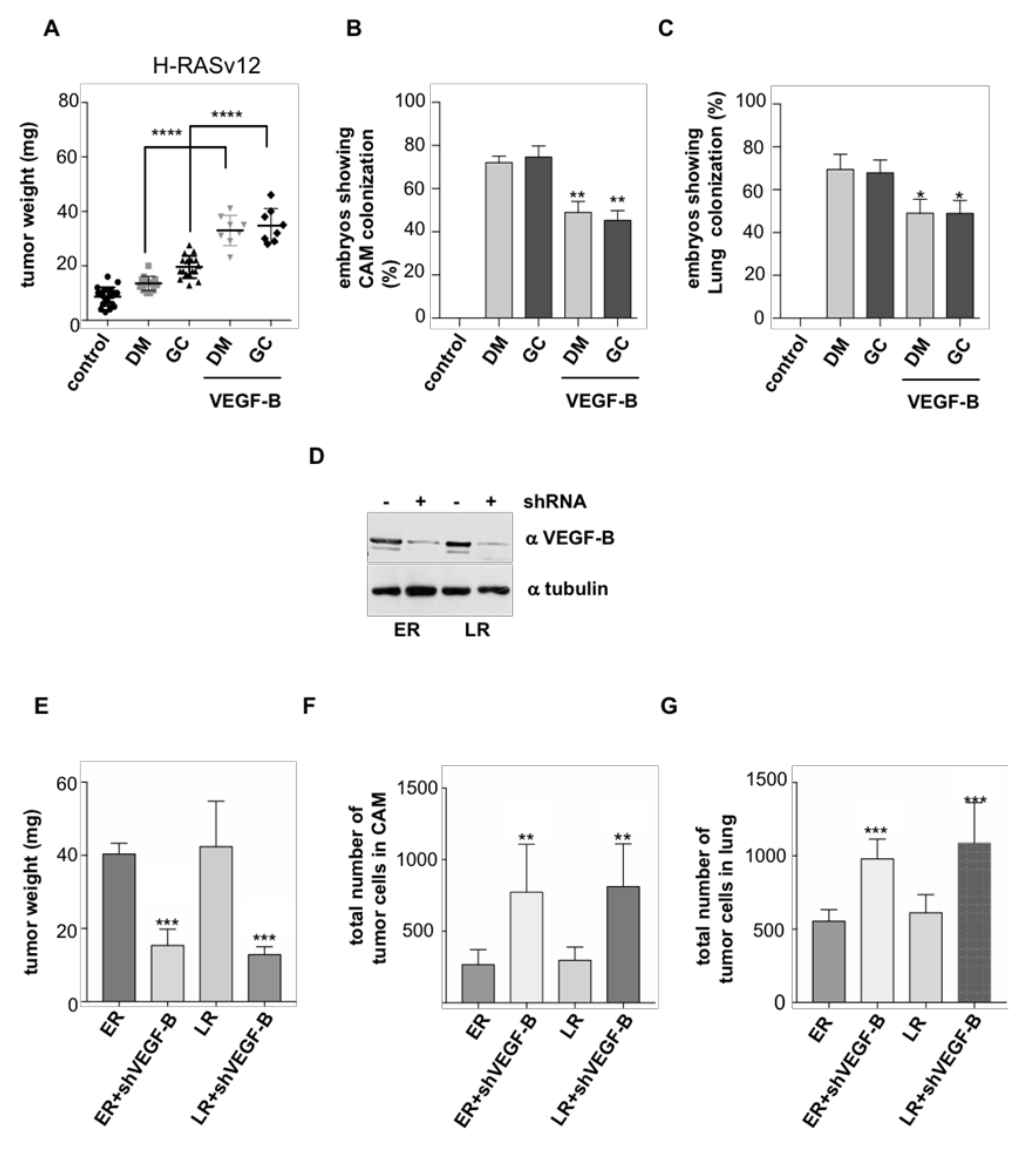Cancers 12 02588 g005