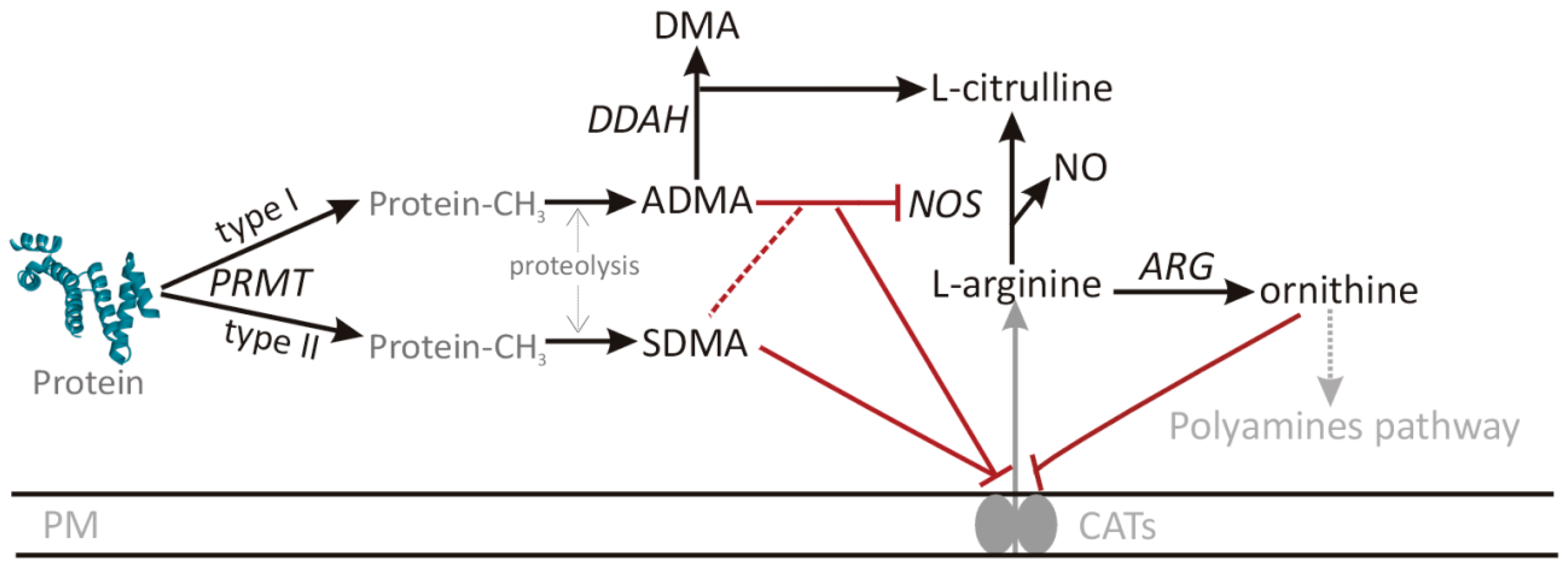 Cancers 12 02594 g001