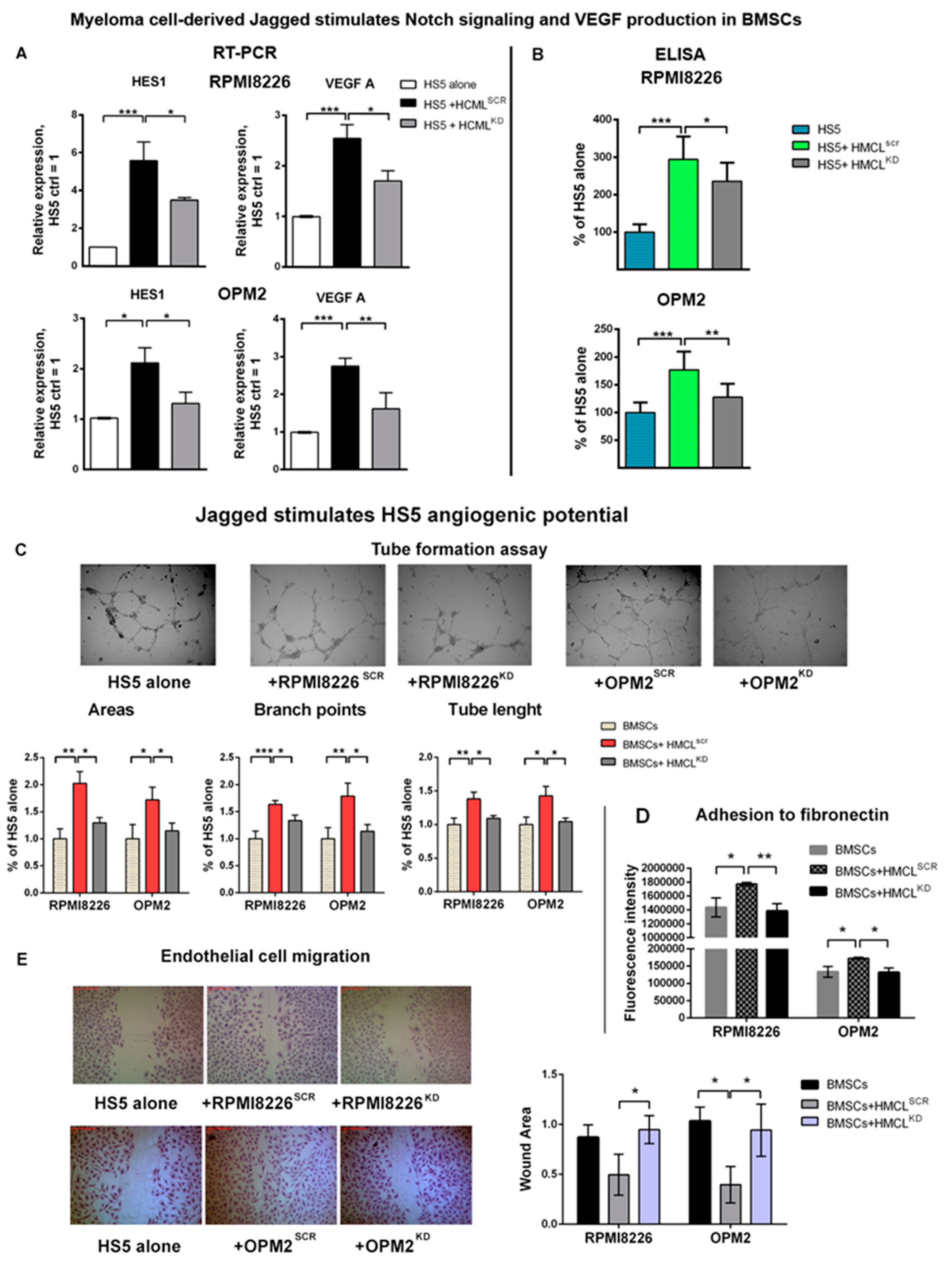 Cancers 12 02600 g003 Cancers 12 02600 g003