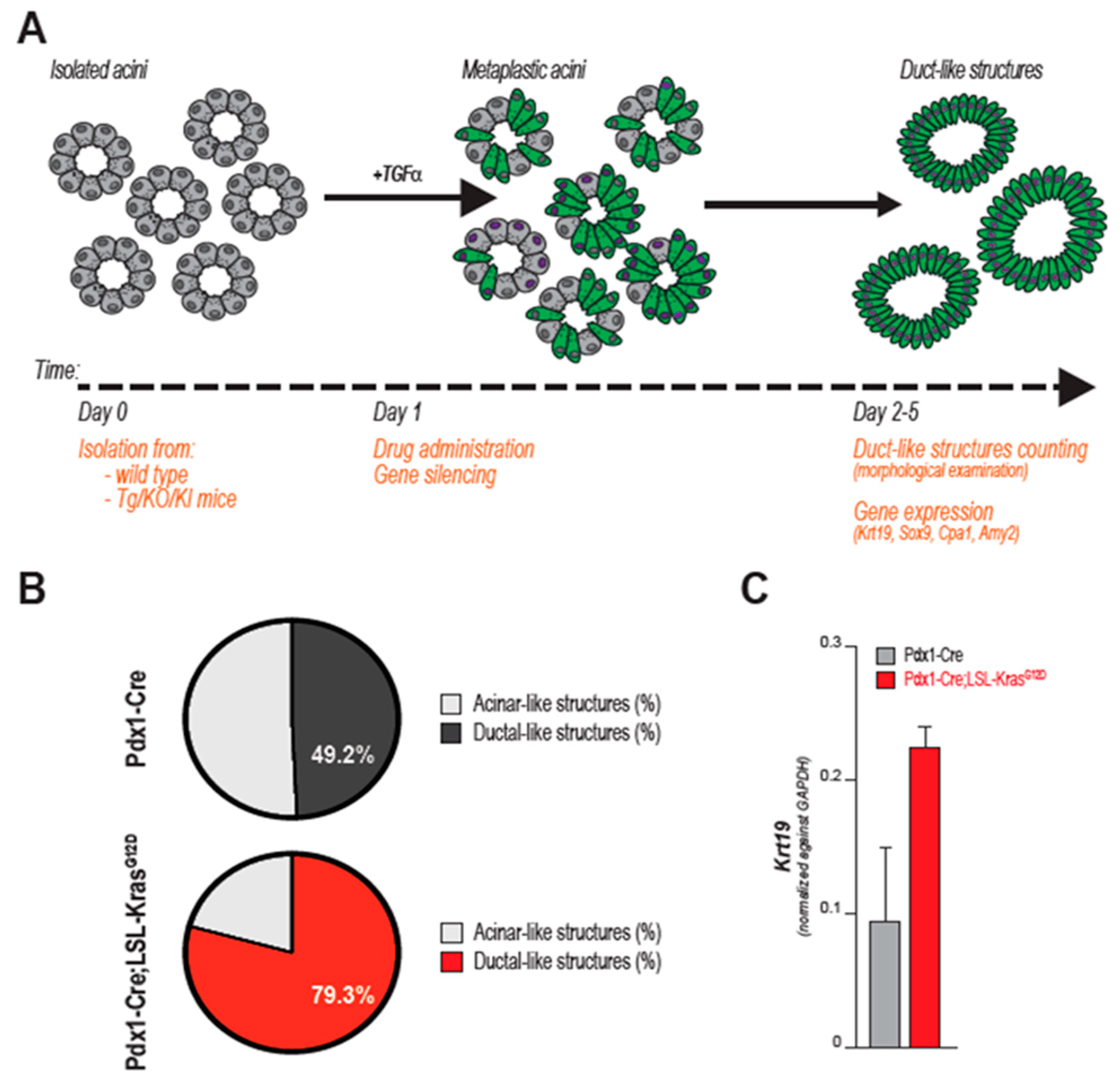 Cancers 12 02606 g003