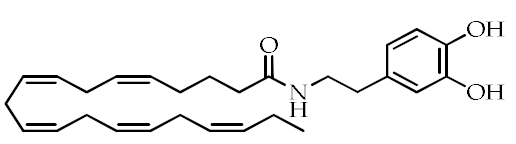 Cancers 12 02623 i005