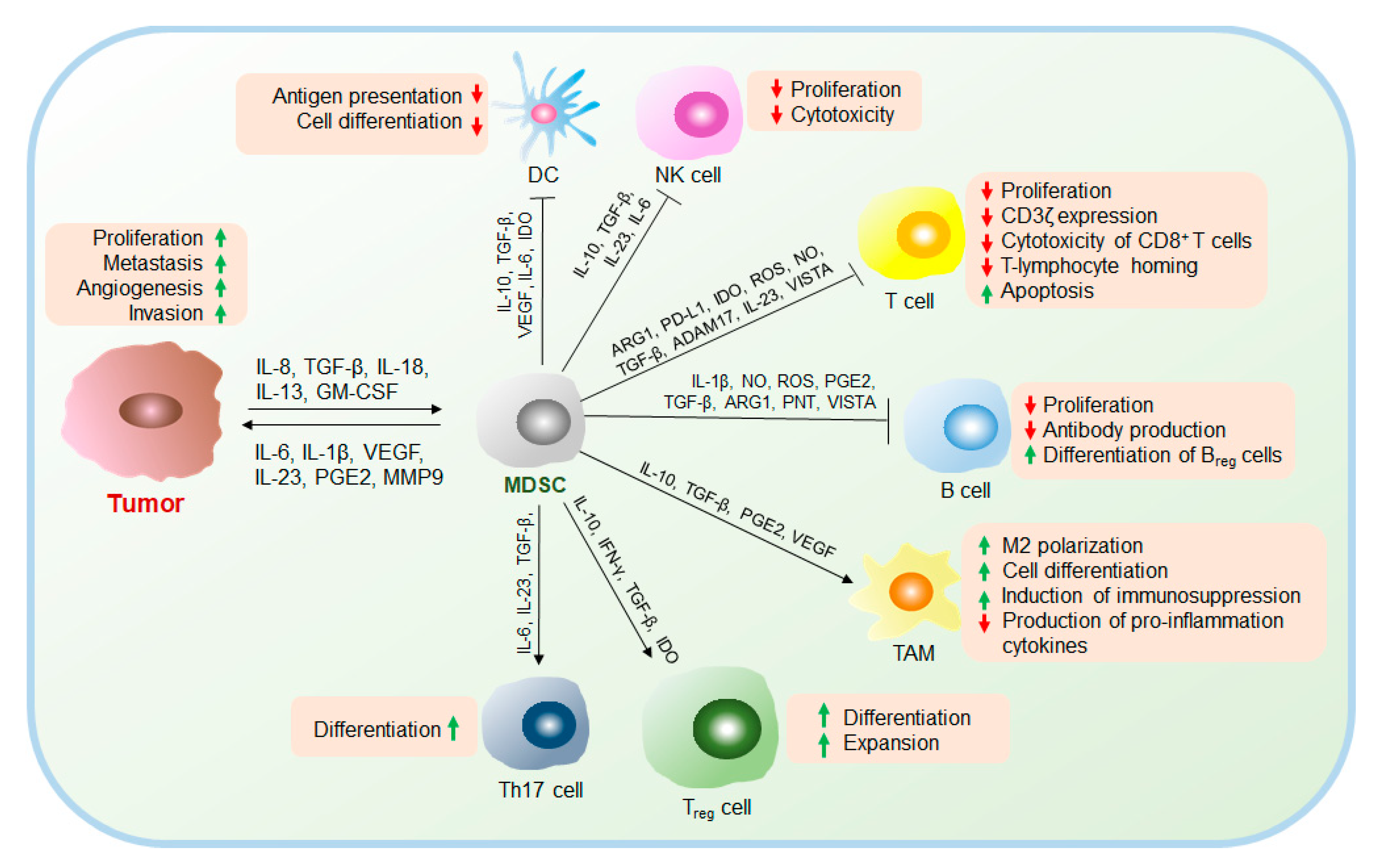Cancers 12 02626 g002