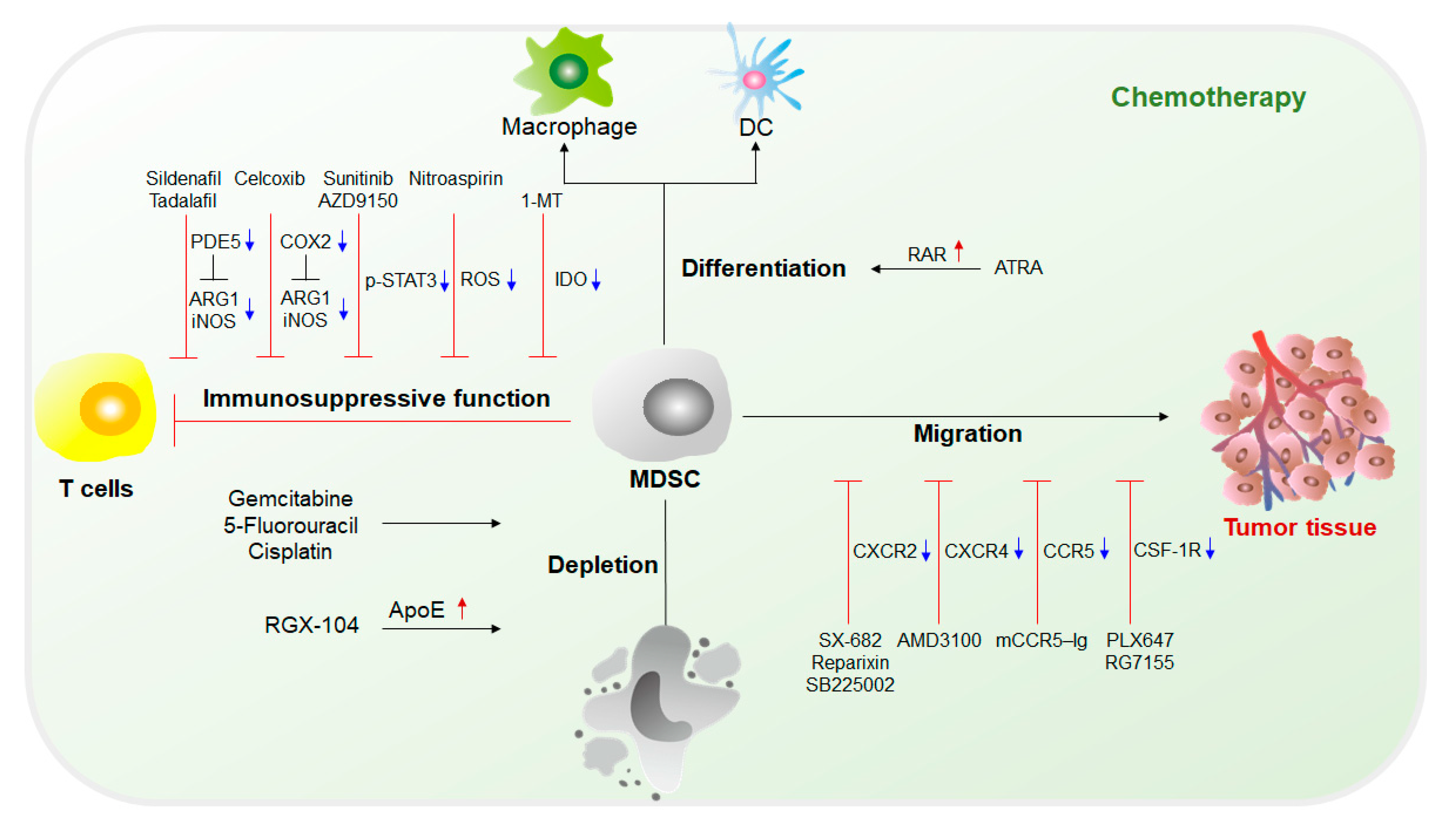Cancers 12 02626 g003