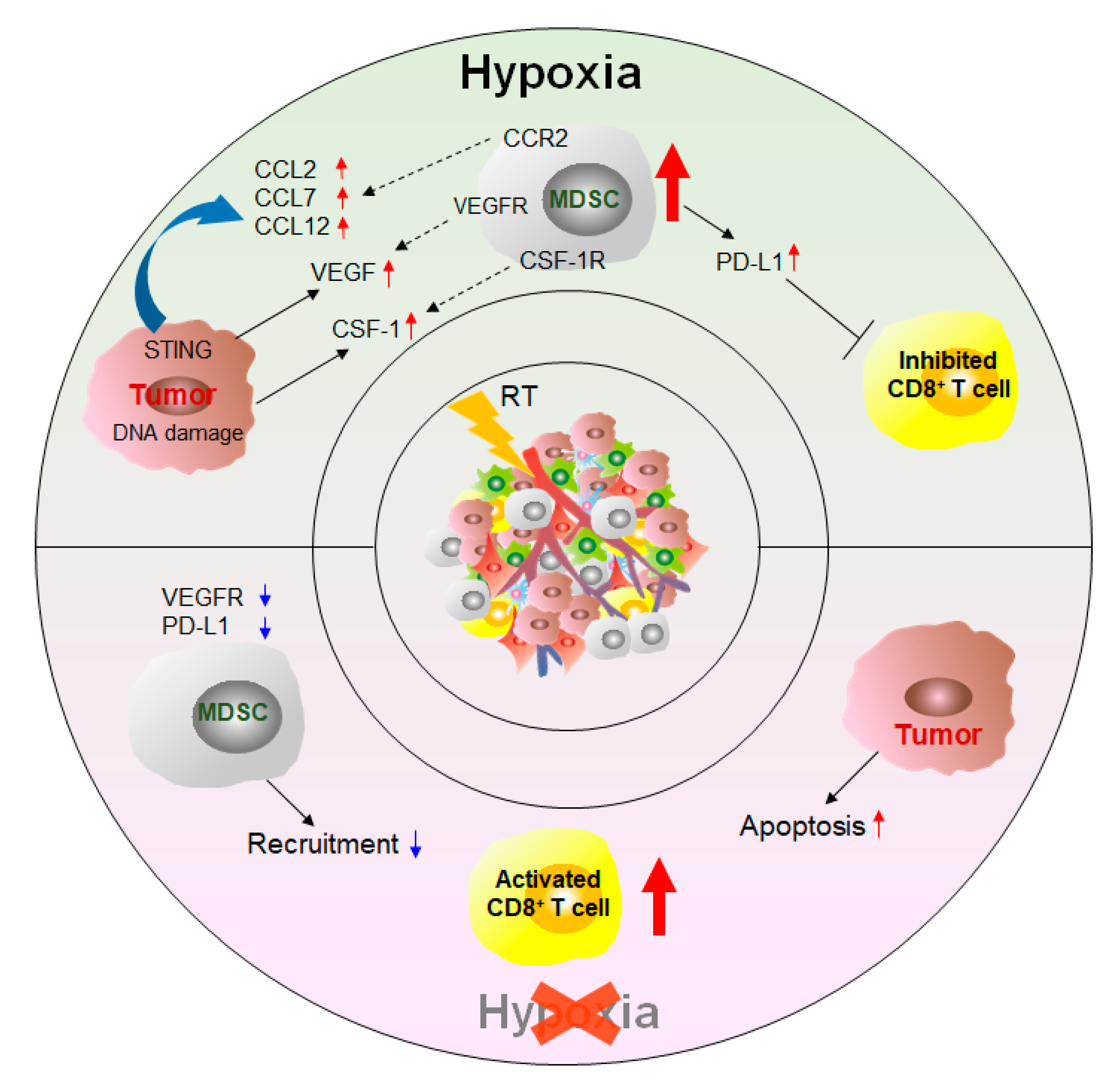 Cancers 12 02626 g005