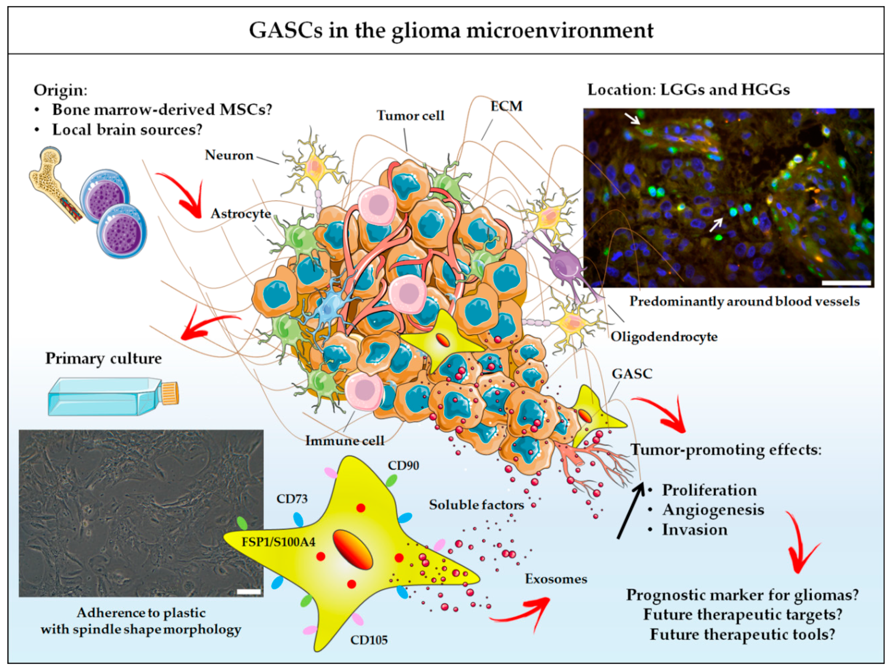 Cancers 12 02628 g001 Cancers 12 02628 g001