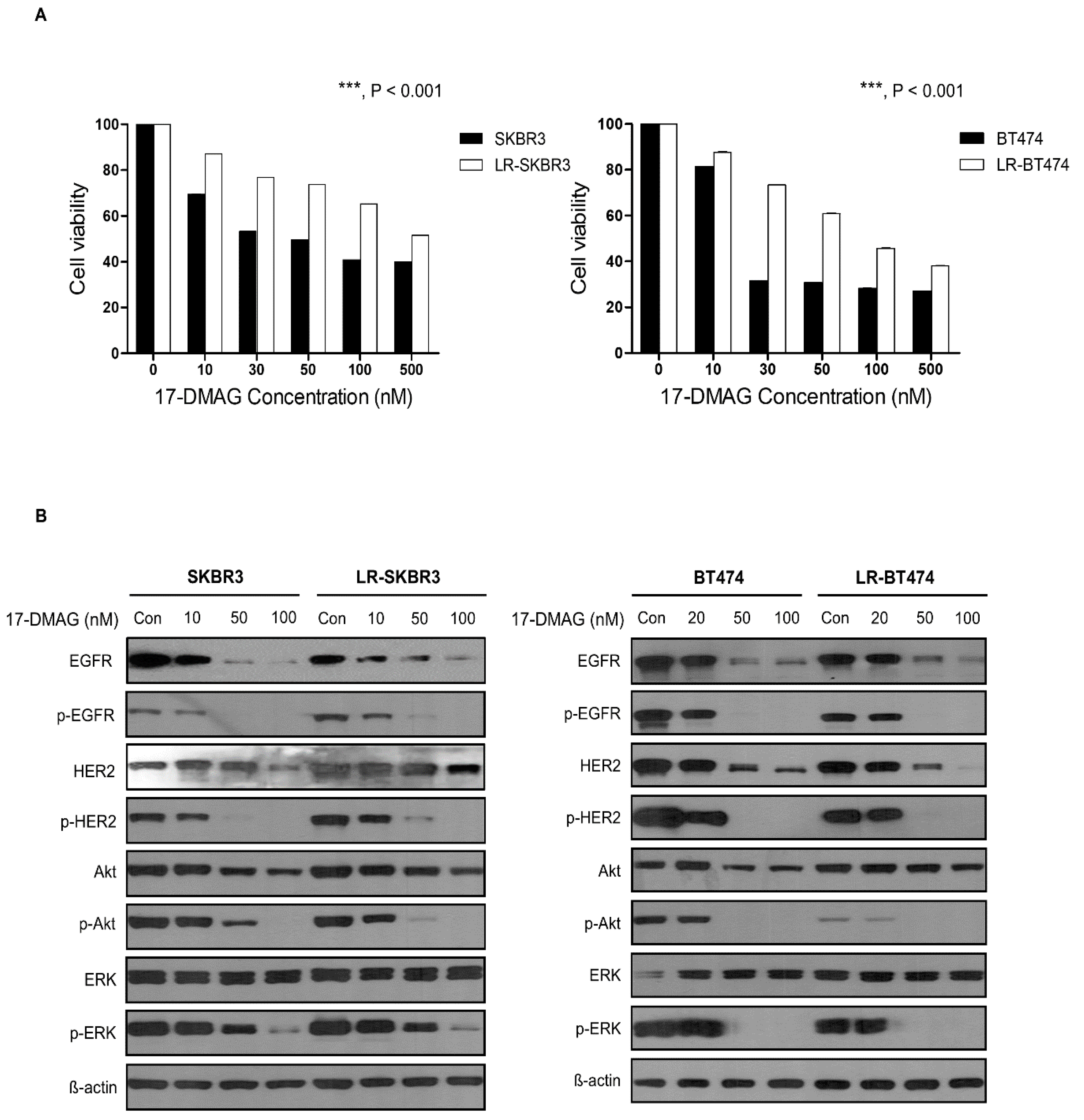 Cancers 12 02630 g004