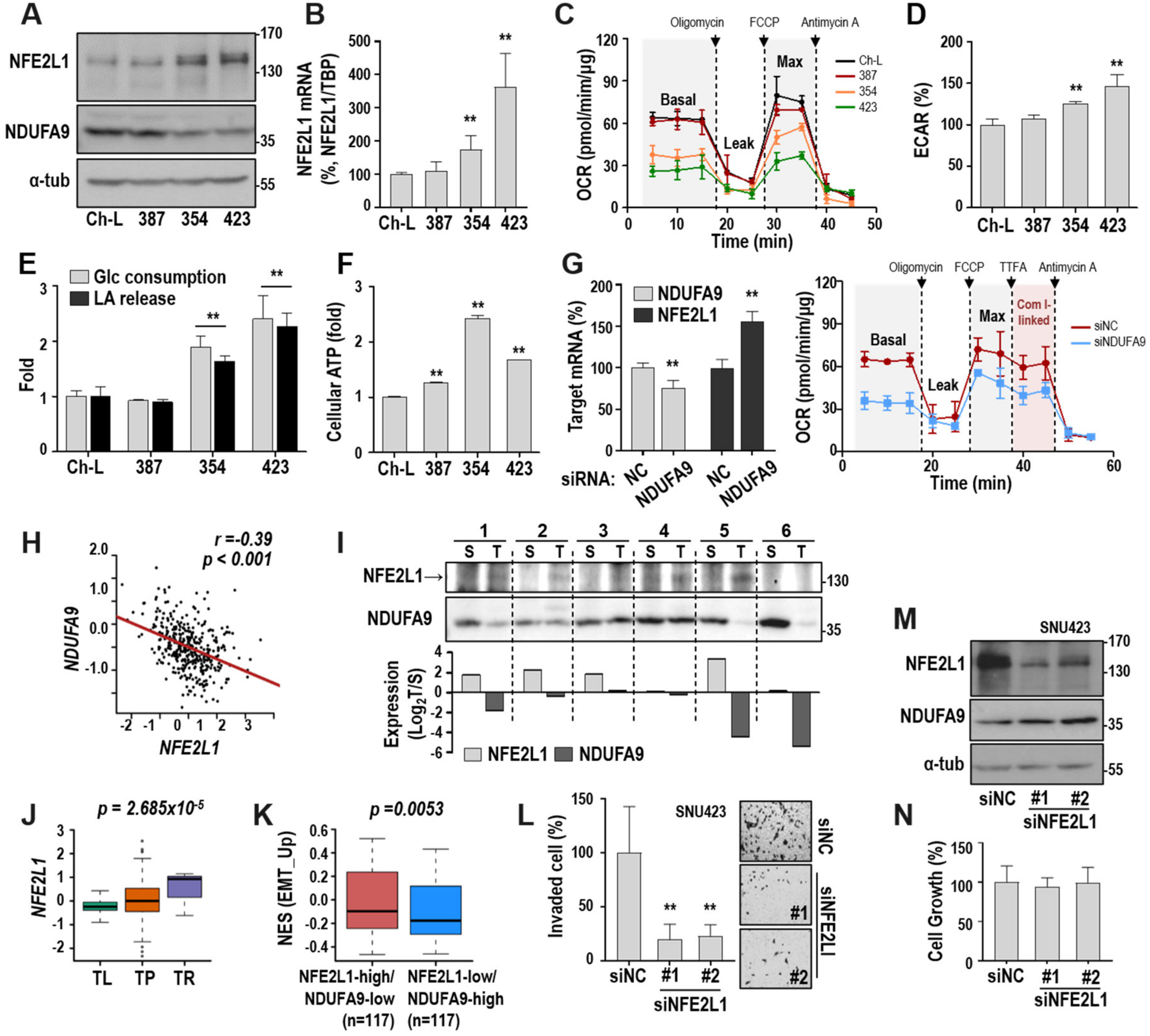 Cancers 12 02632 g001