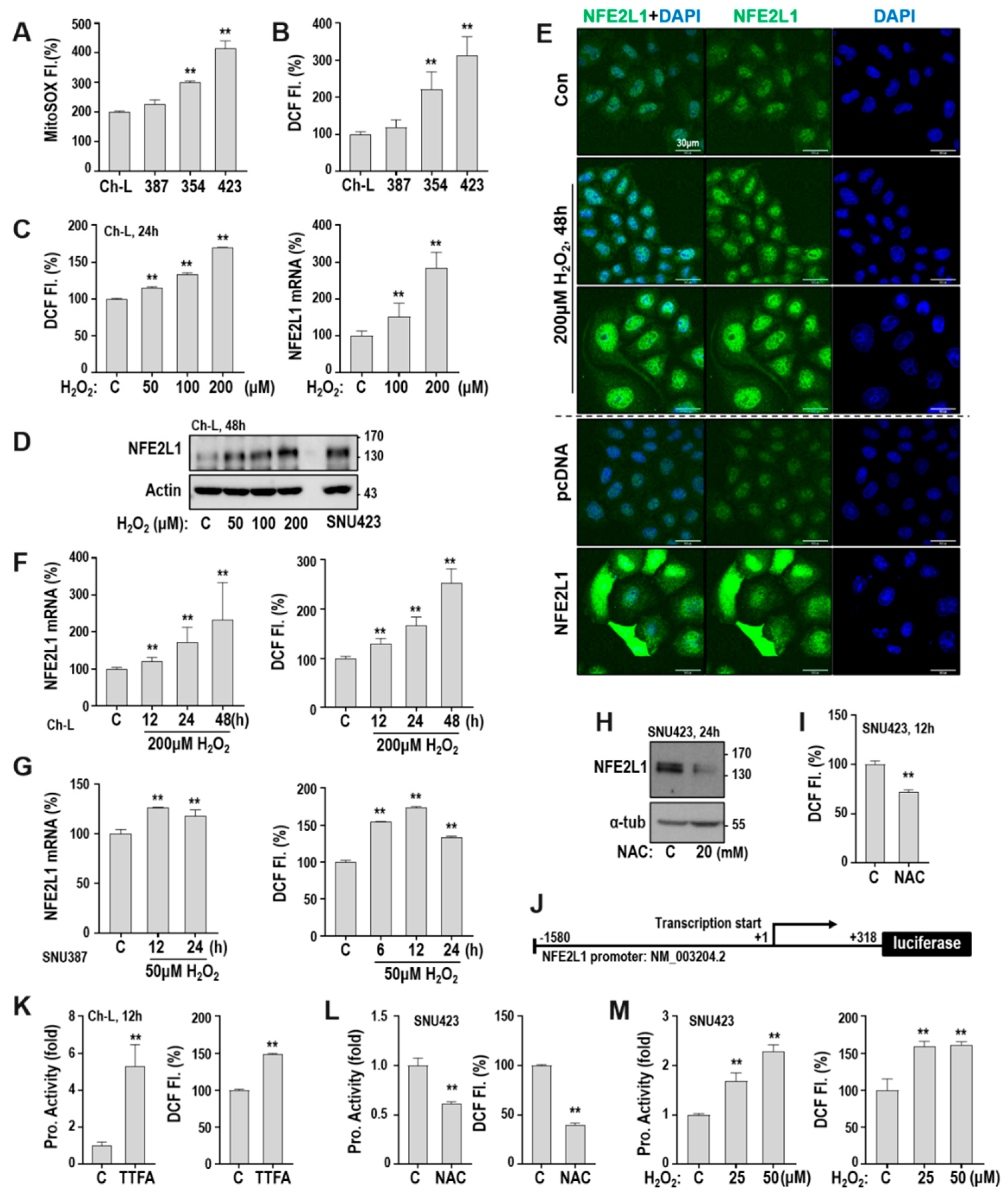 Cancers 12 02632 g002