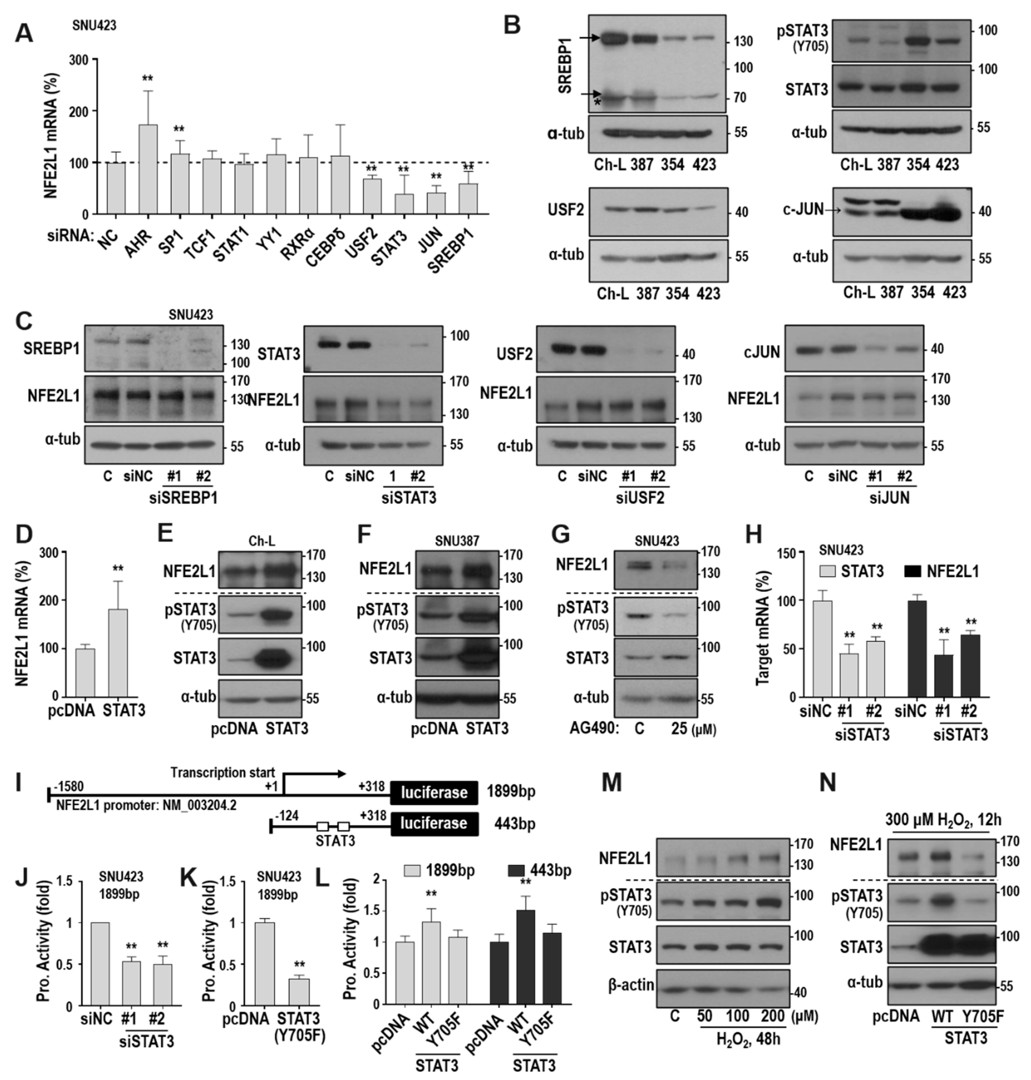 Cancers 12 02632 g003