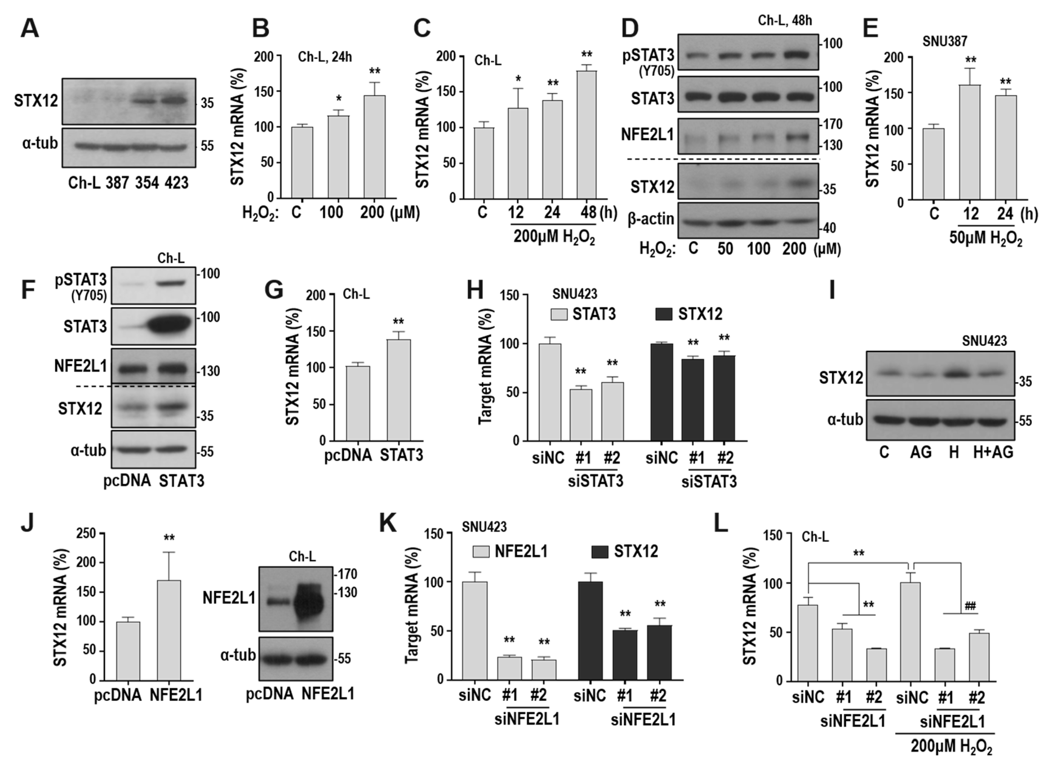 Cancers 12 02632 g005