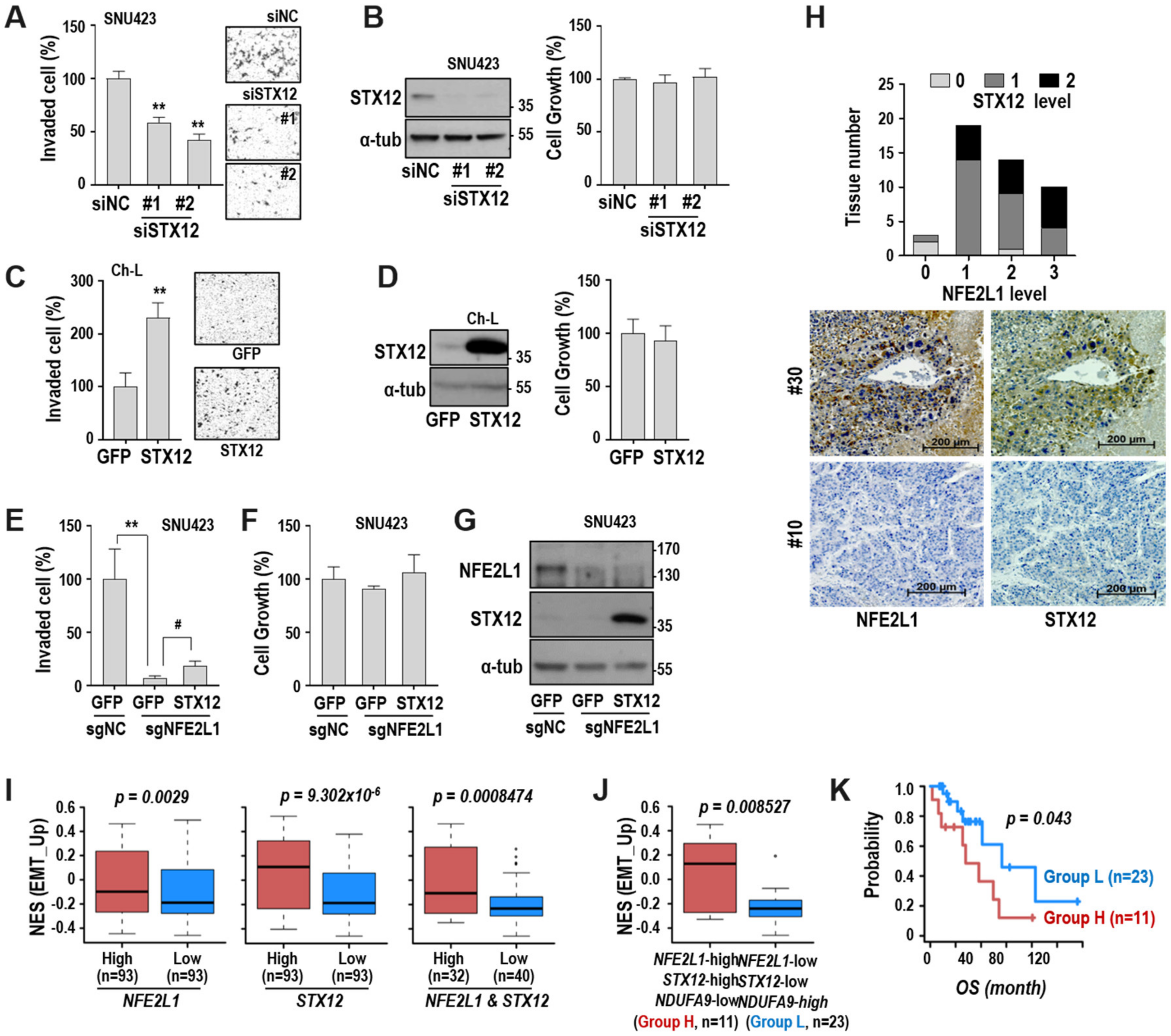 Cancers 12 02632 g006