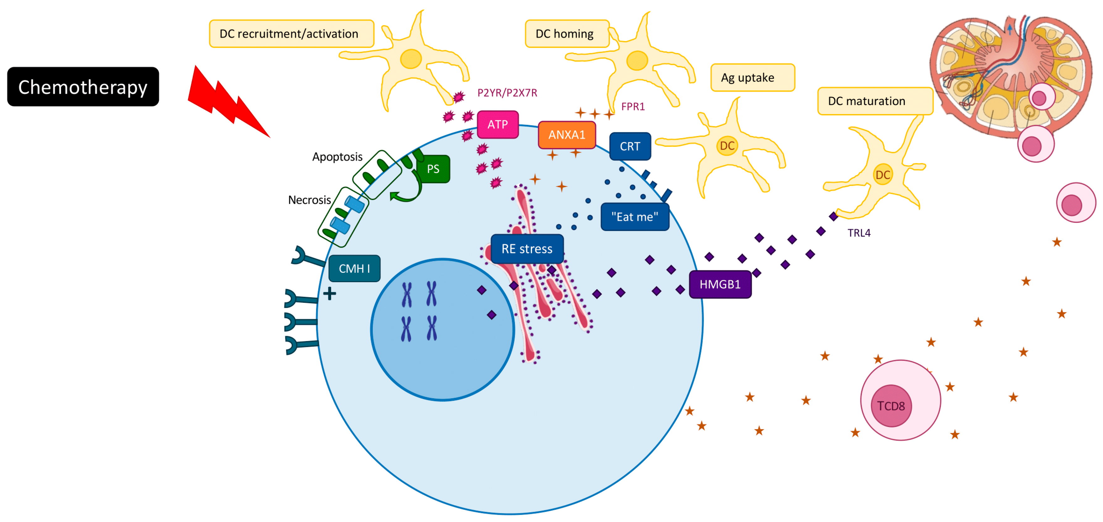 Cancers 12 02637 g001 Cancers 12 02637 g001