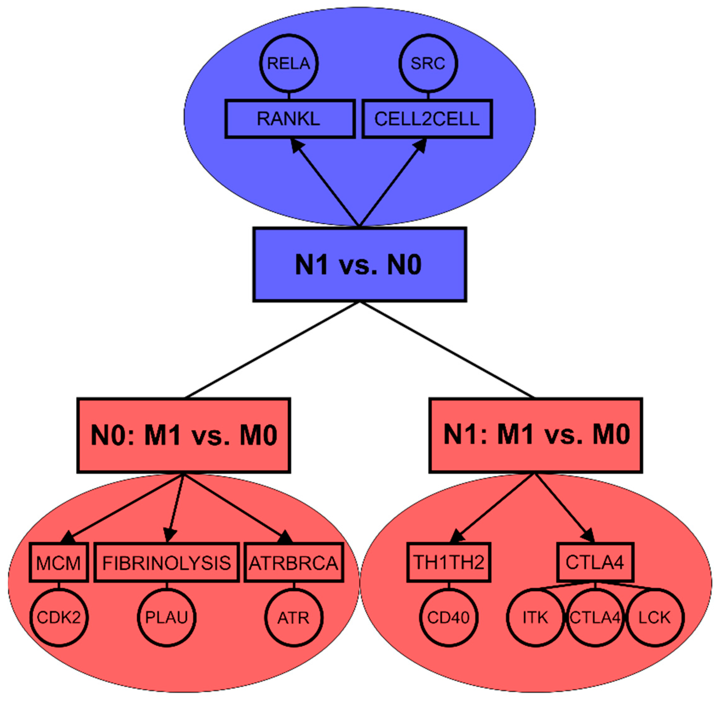 Cancers 12 02638 g002