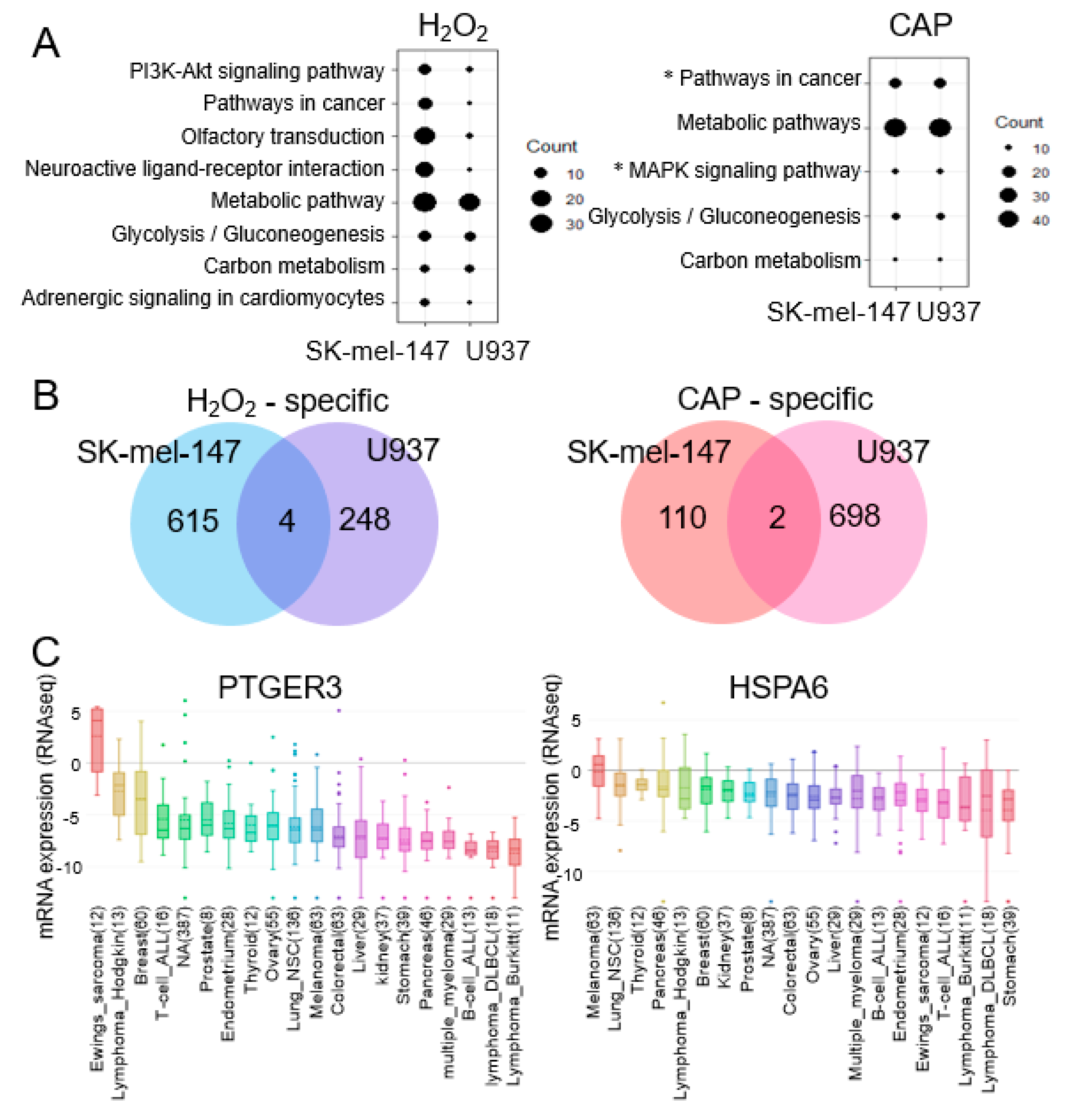 Cancers Free Full Text Genome Wide Comparison Of The Target Genes Of The Reactive Oxygen Species And Non Reactive Oxygen Species Constituents Of Cold Atmospheric Plasma In Cancer Cells Html