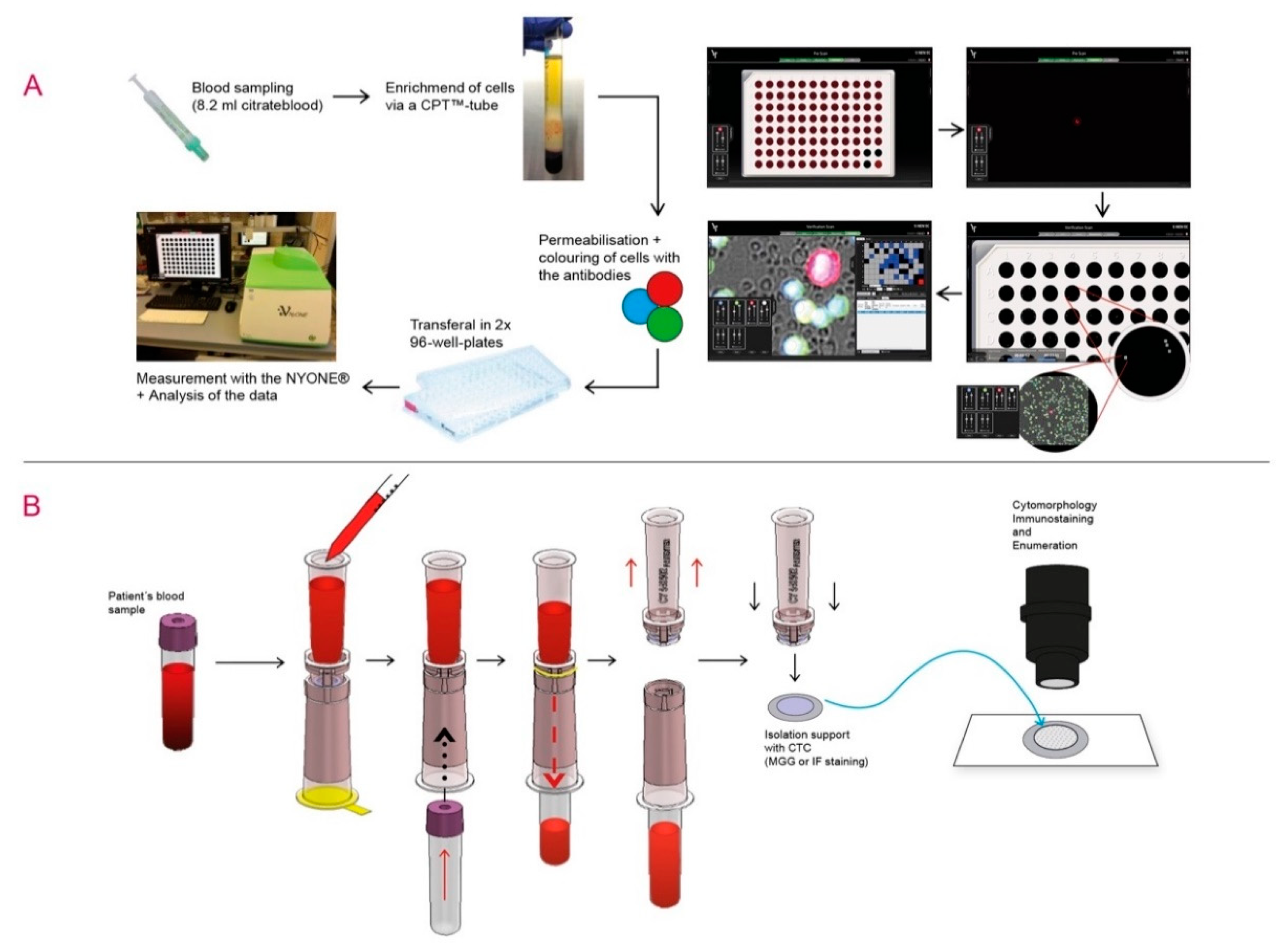 Cancers 12 02643 g005