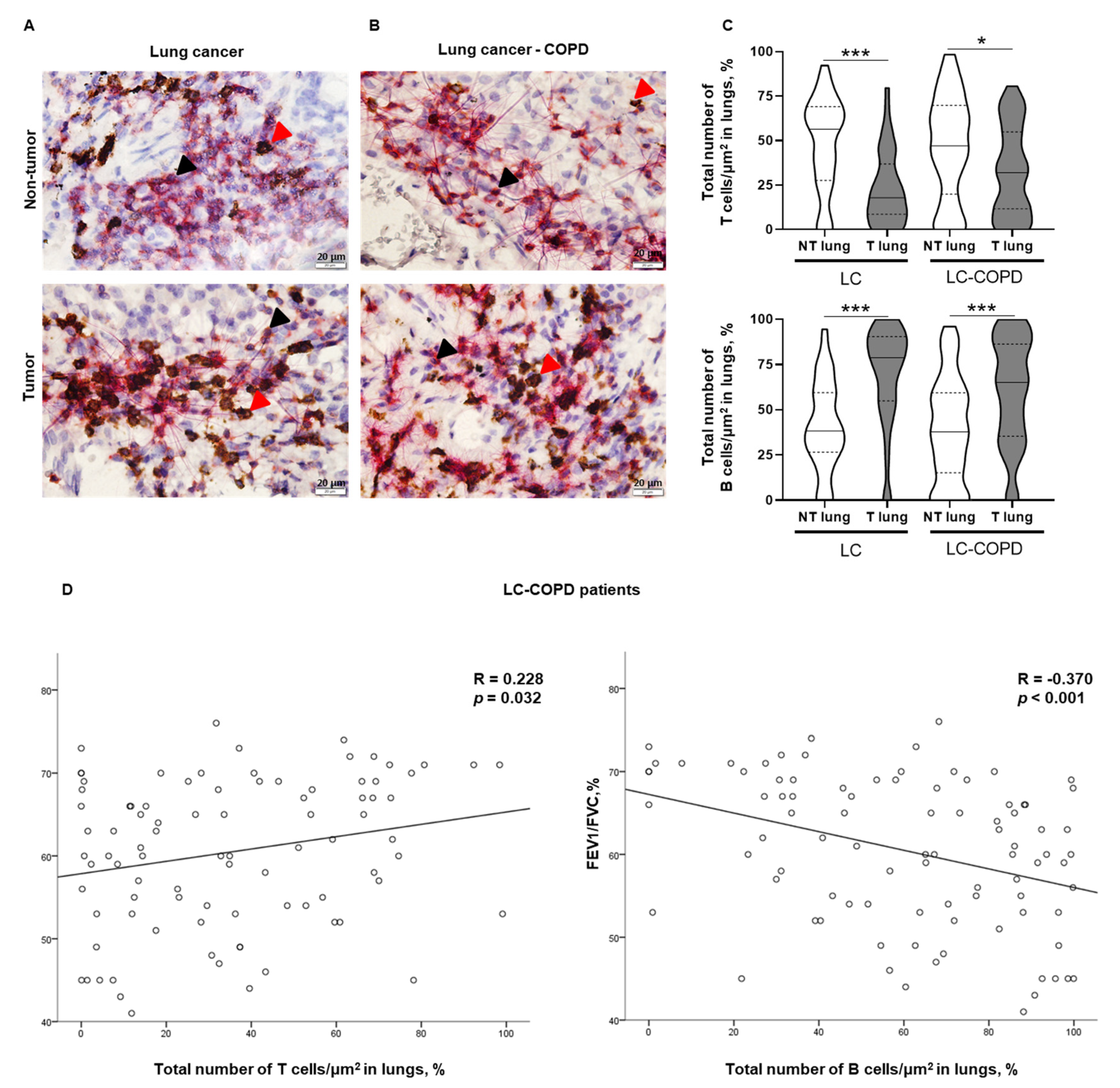 Cancers 12 02644 g002