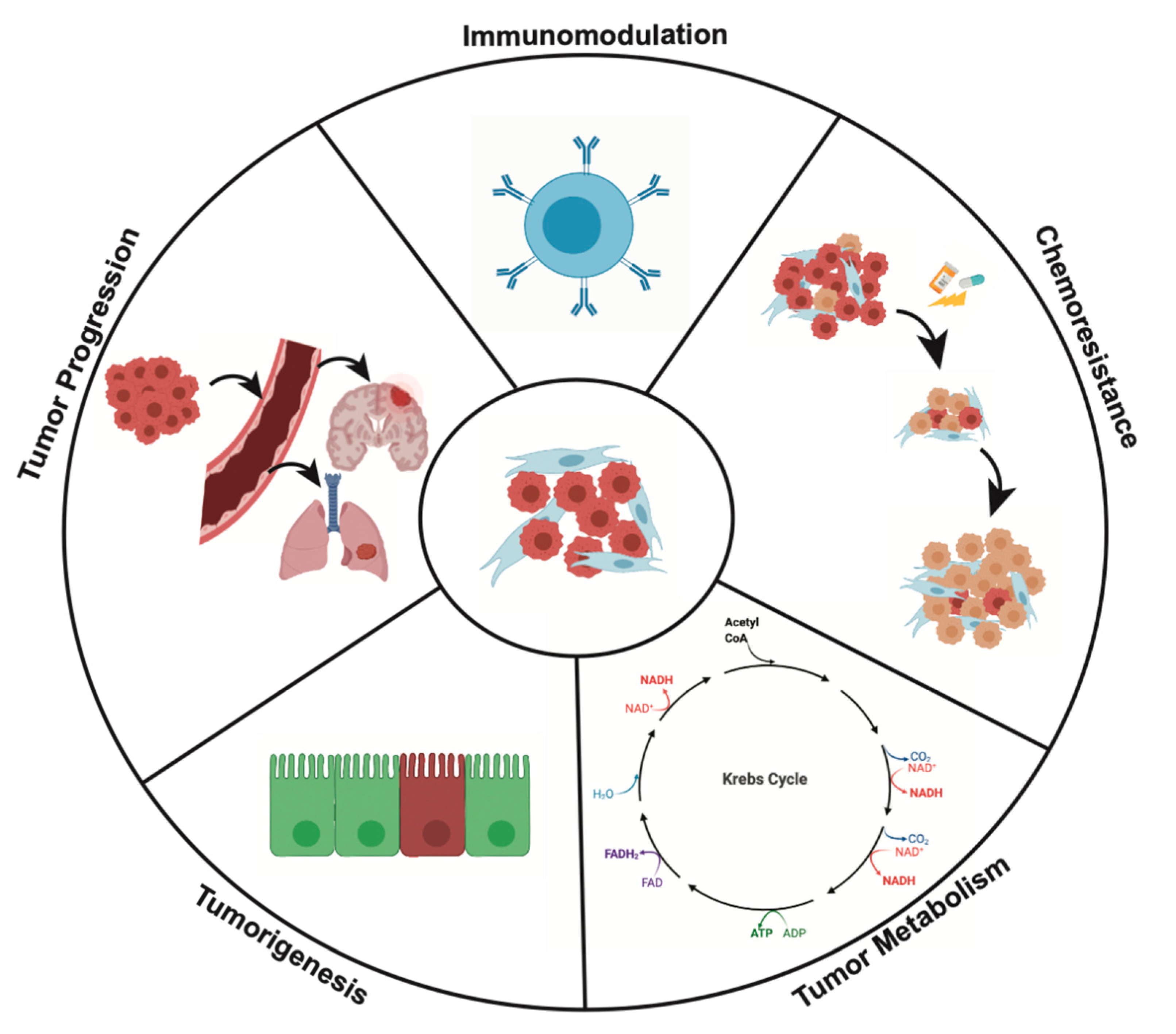 Cancers 12 02652 g003 Cancers 12 02652 g003
