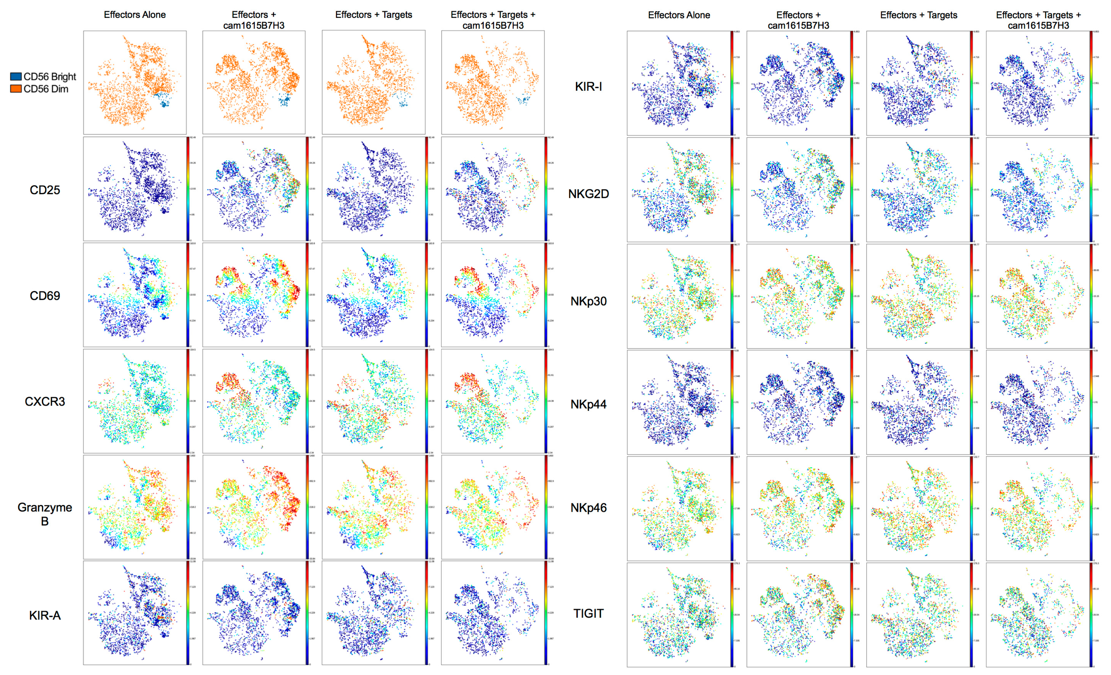 Cancers 12 02659 g006 Cancers 12 02659 g006