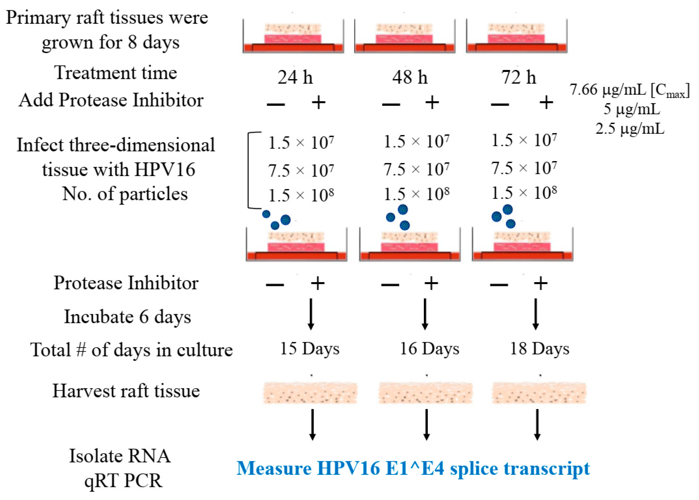 Cancers 12 02664 g002