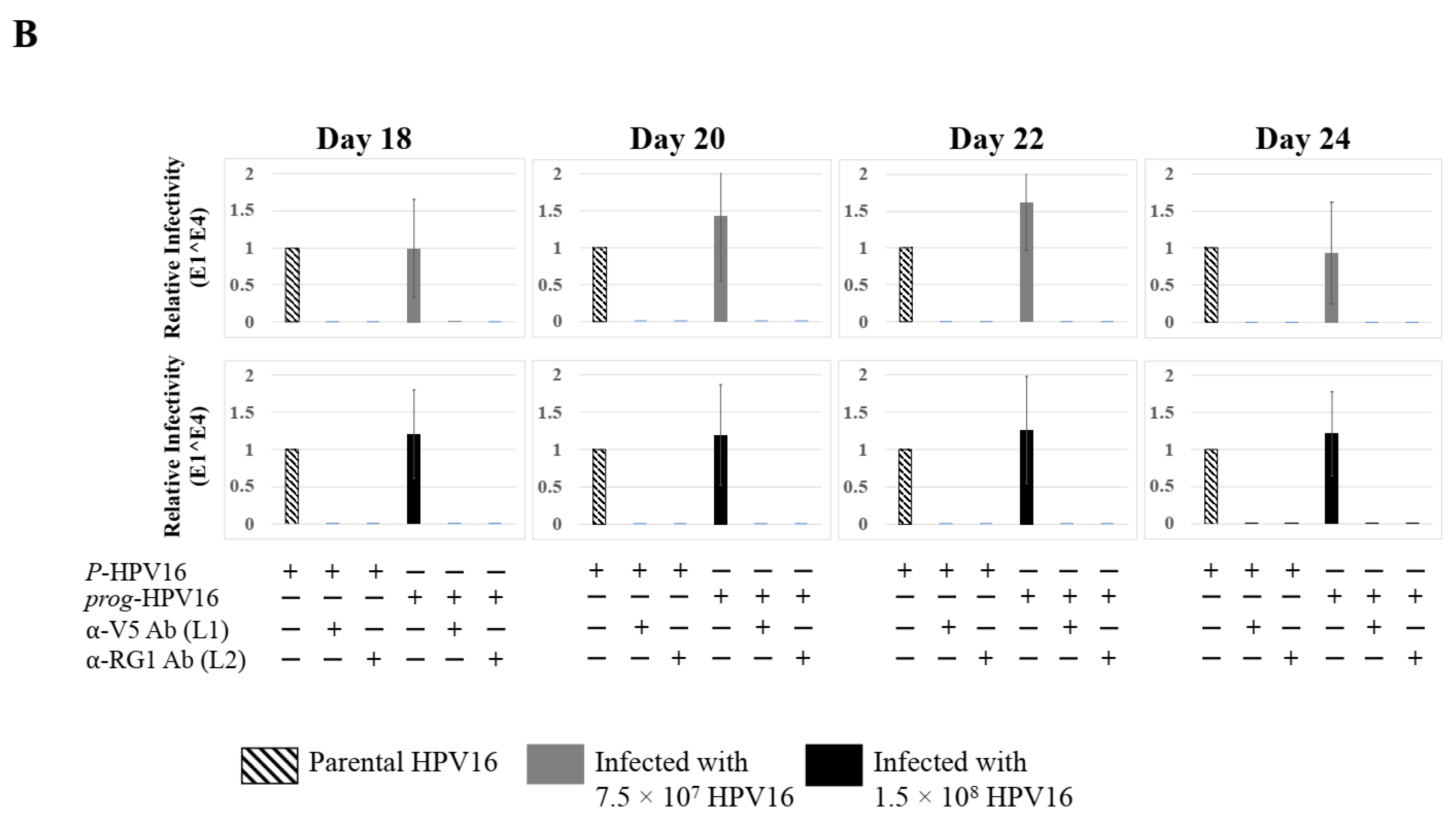 Cancers 12 02664 g013b