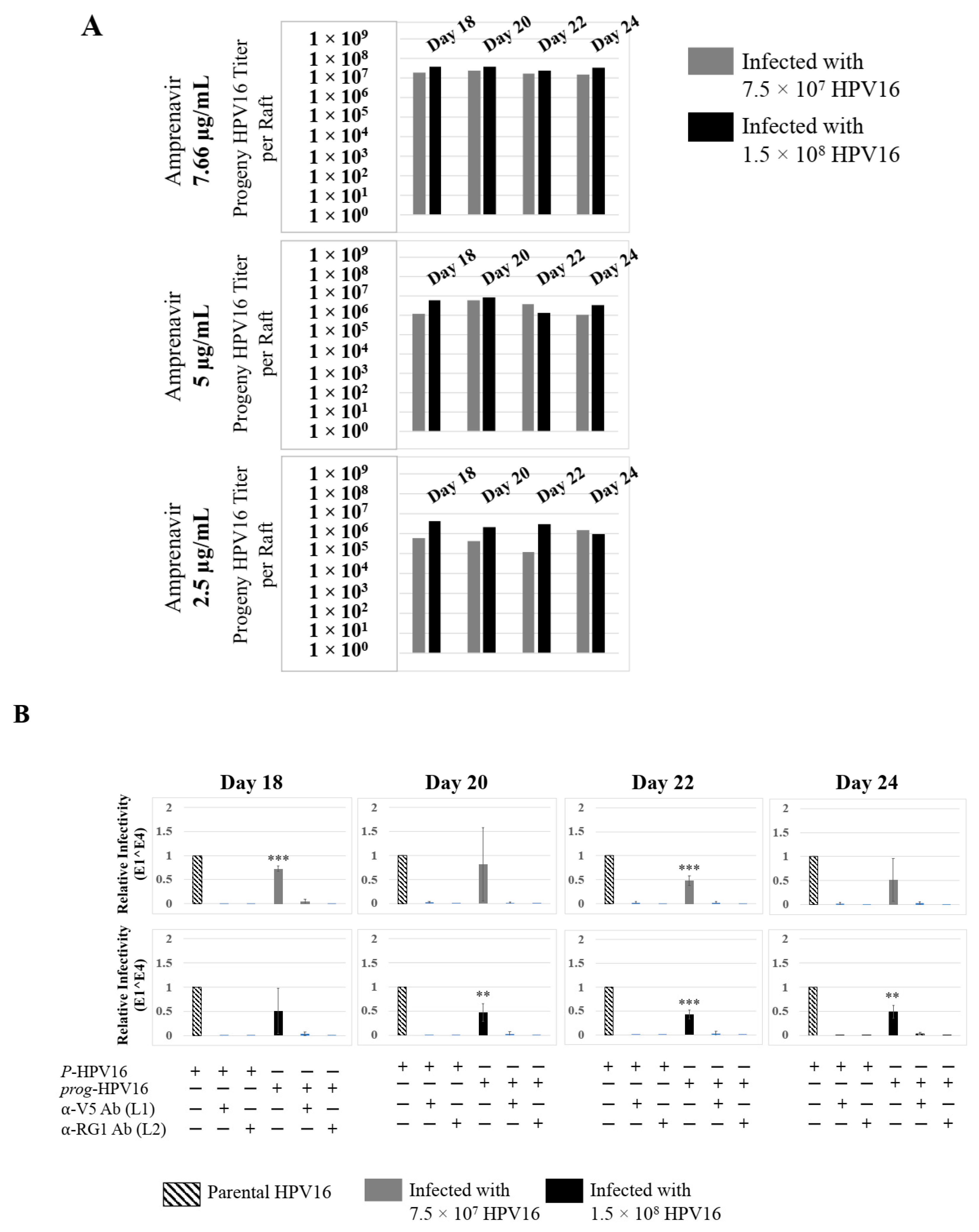 Cancers 12 02664 g017