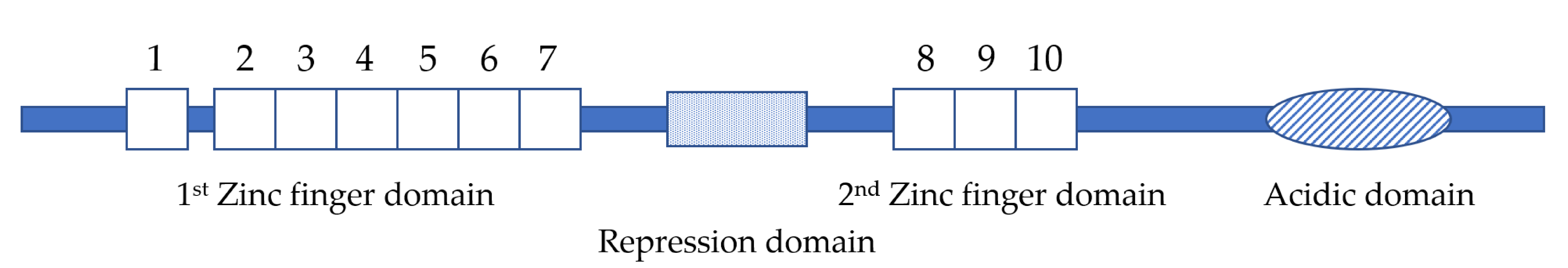 Cancers 12 02667 g001 Cancers 12 02667 g001