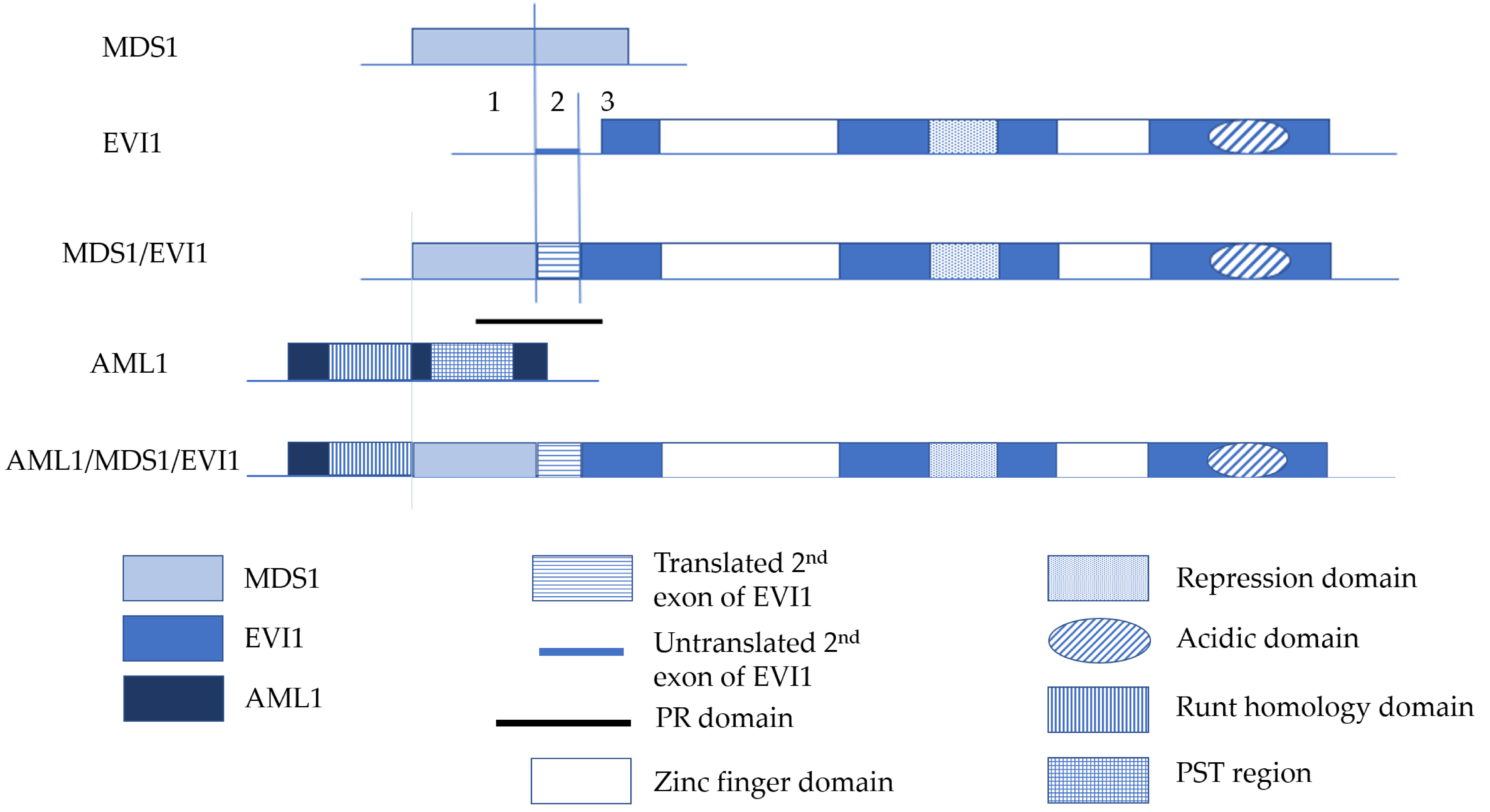 Cancers 12 02667 g002 Cancers 12 02667 g002