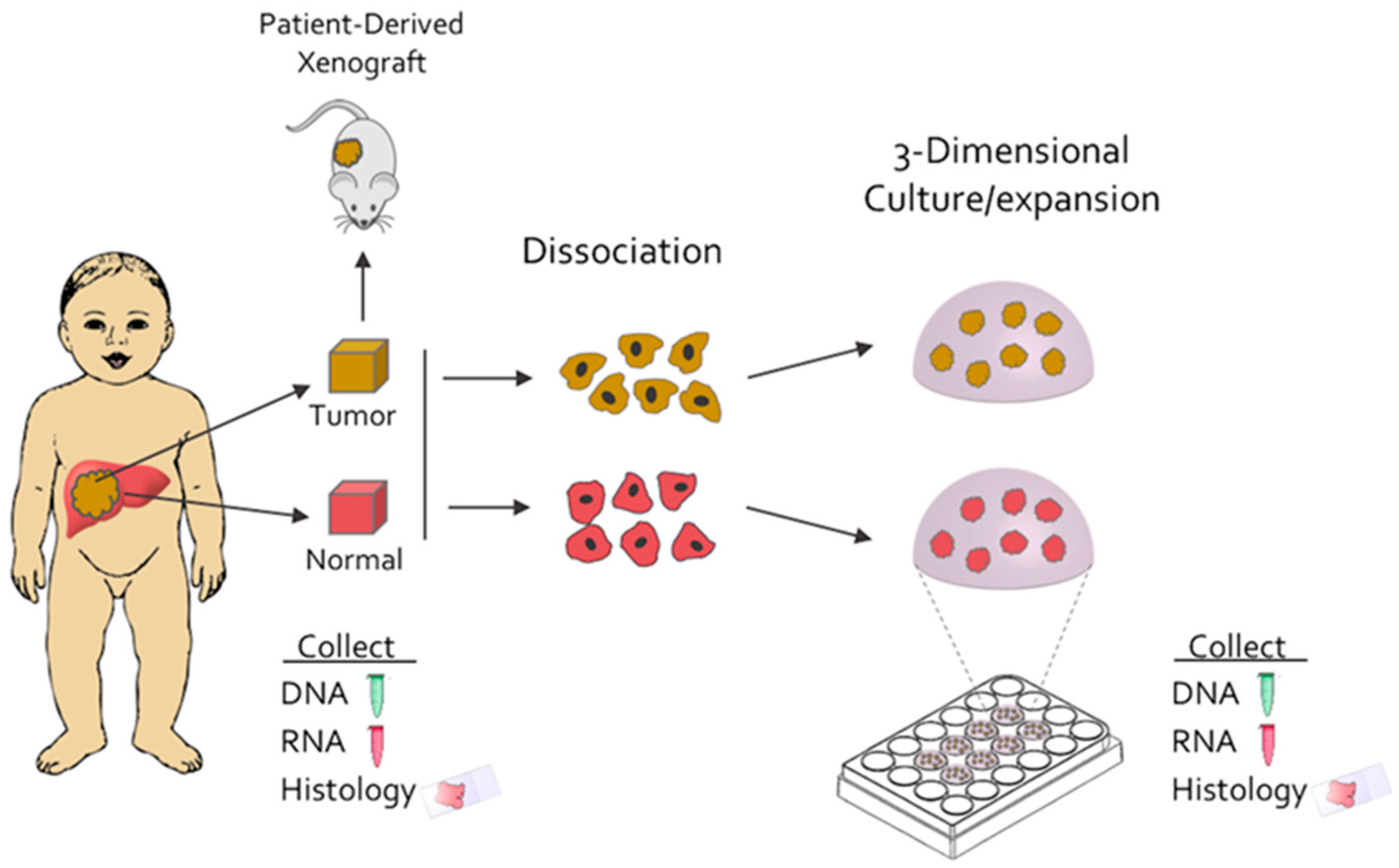 Cancers 12 02668 g001