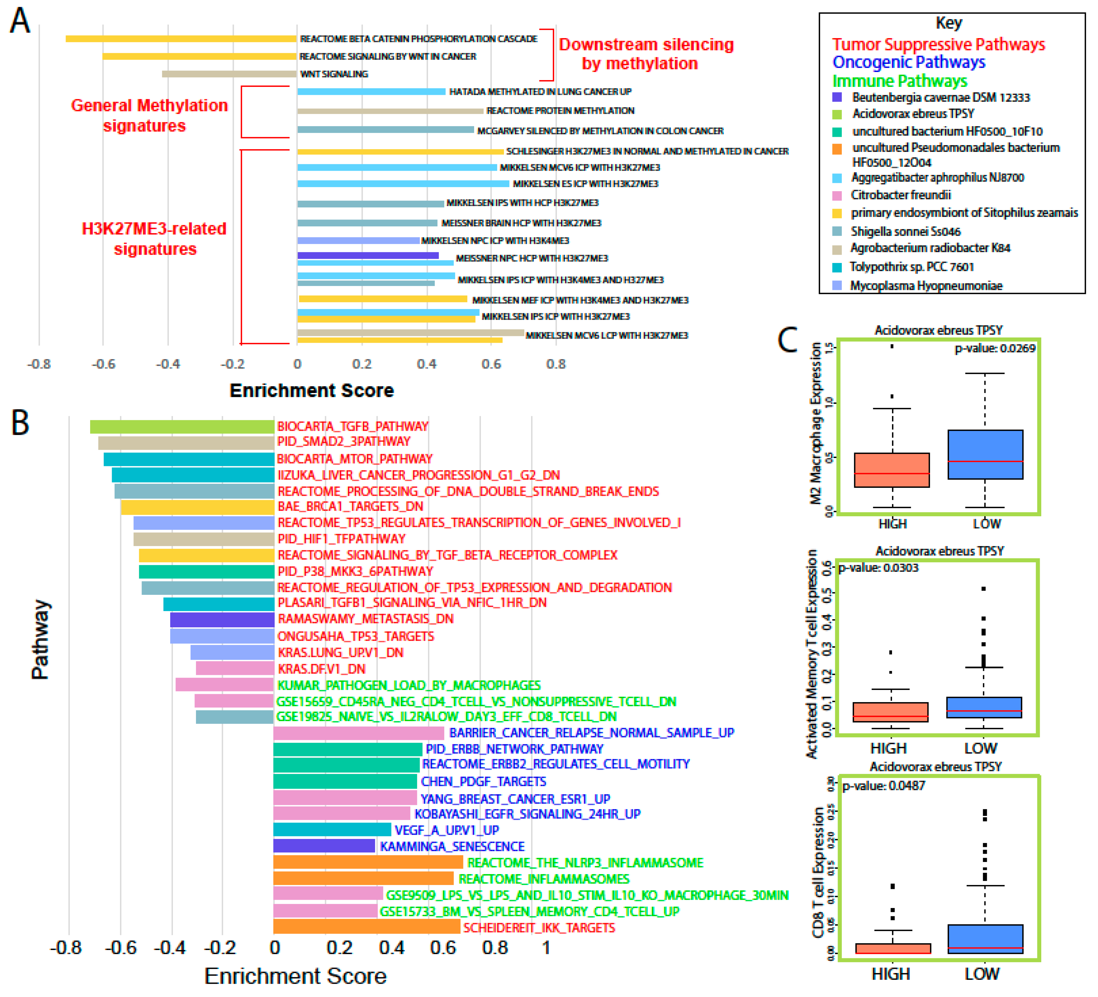 Cancers 12 02672 g003