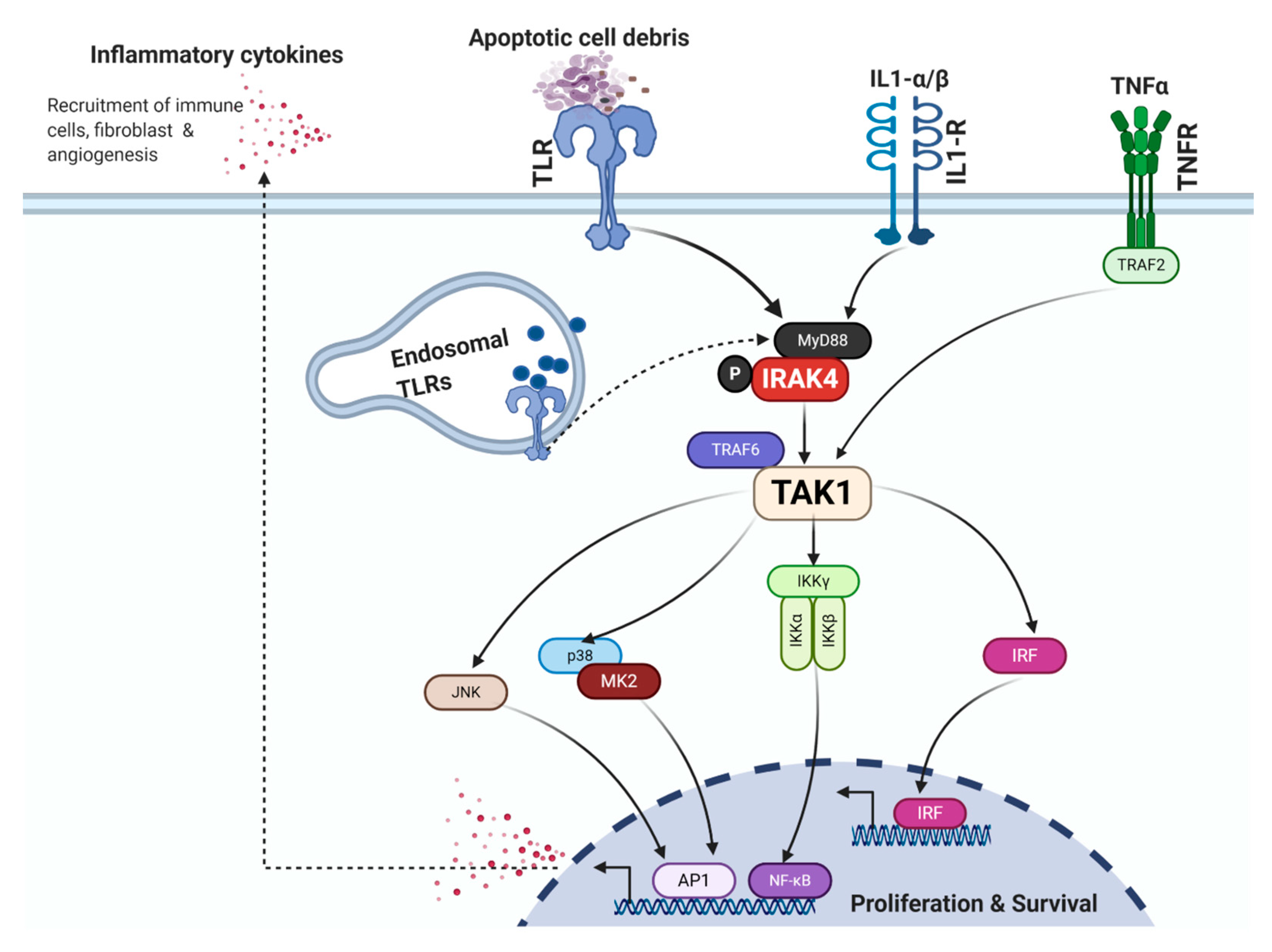 Cancers 12 02675 g001