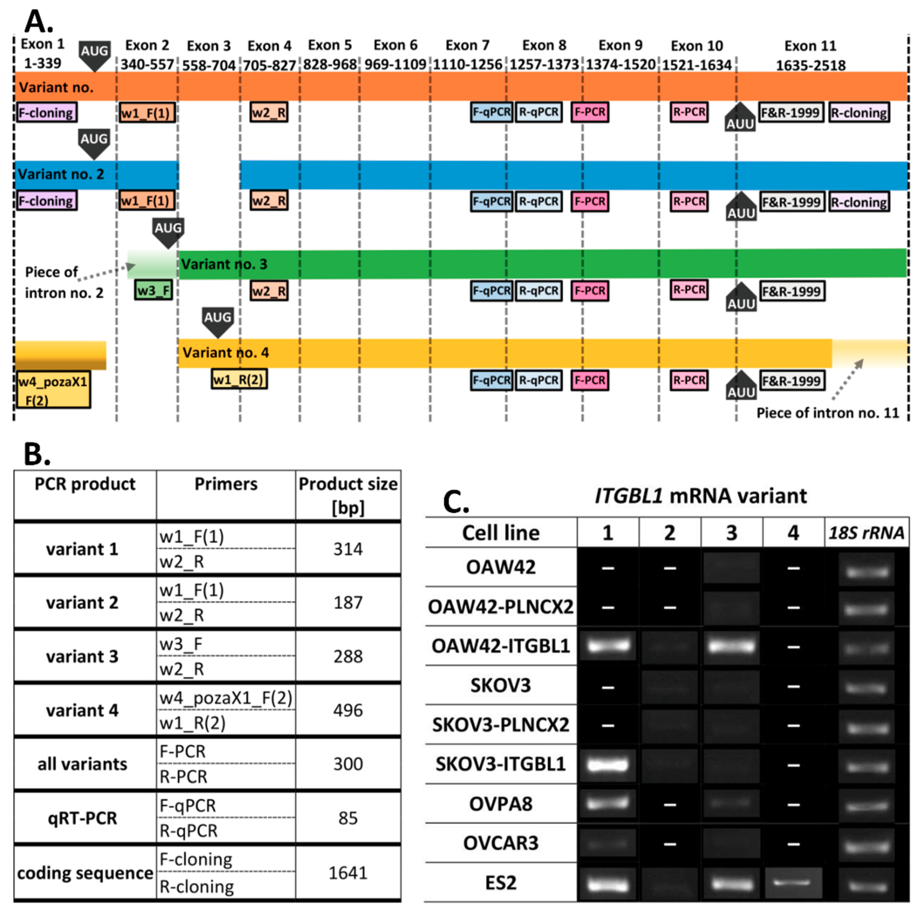 Cancers 12 02676 g001