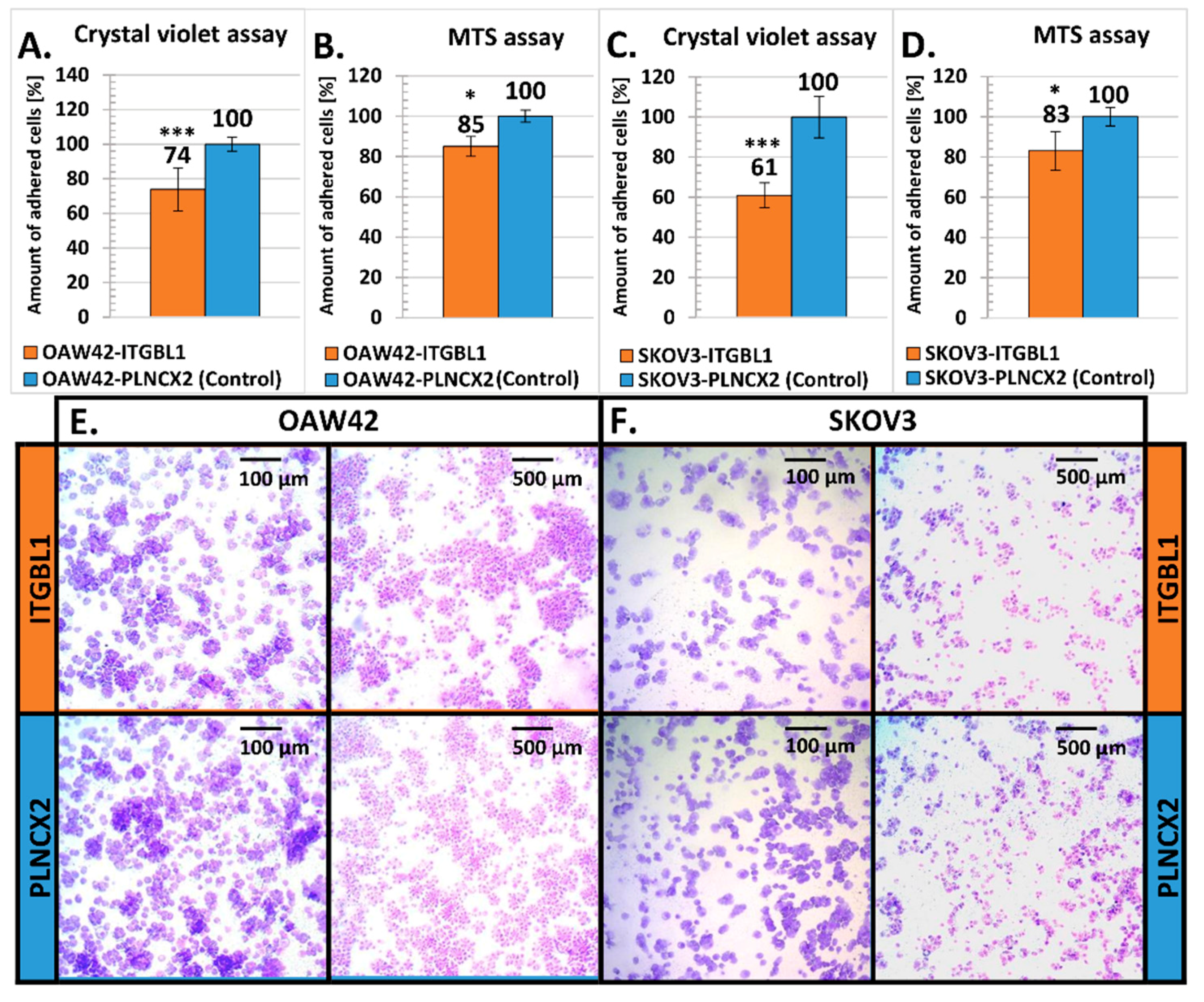 Cancers 12 02676 g003