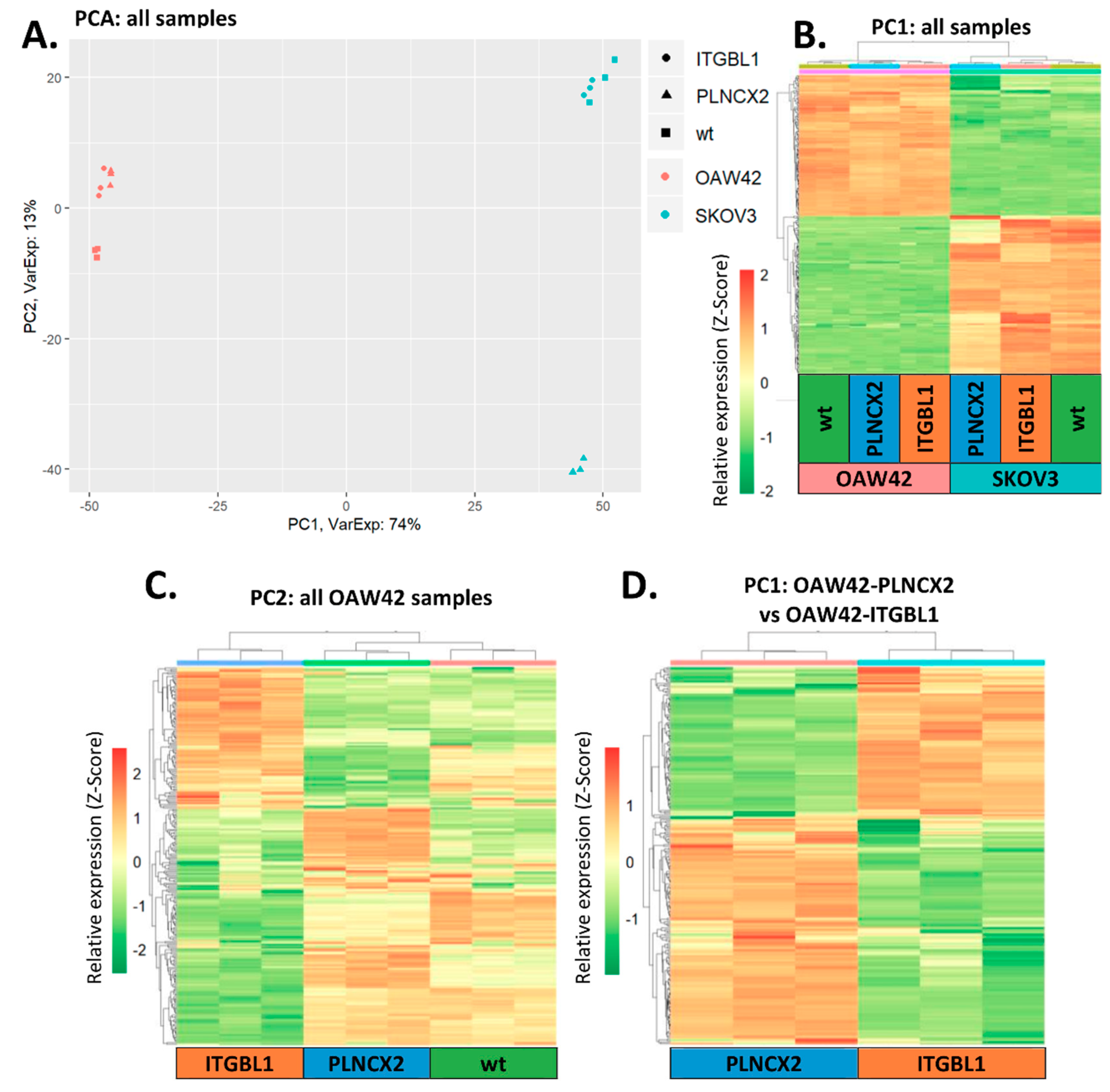 Cancers 12 02676 g008