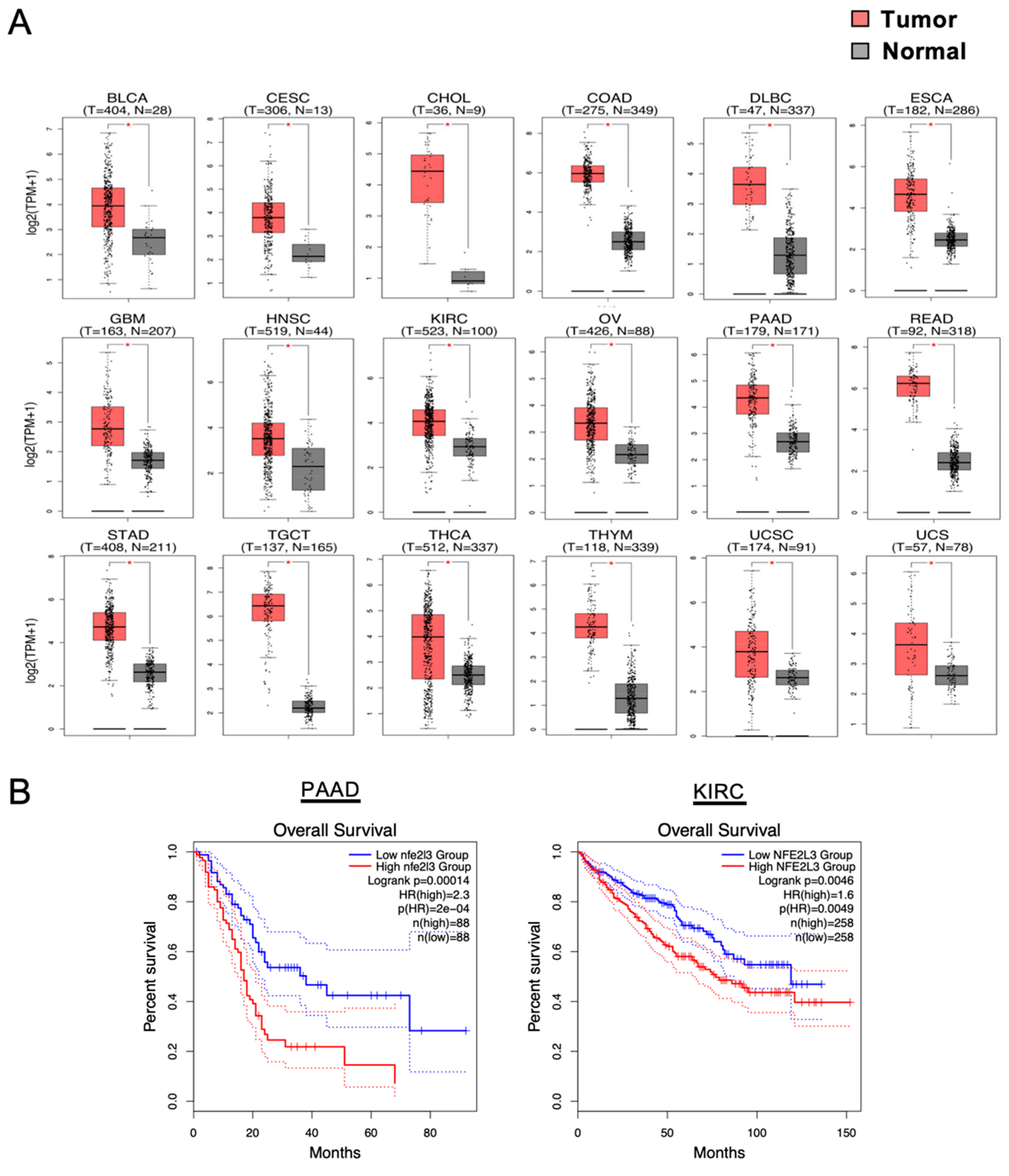 Cancers 12 02681 g001