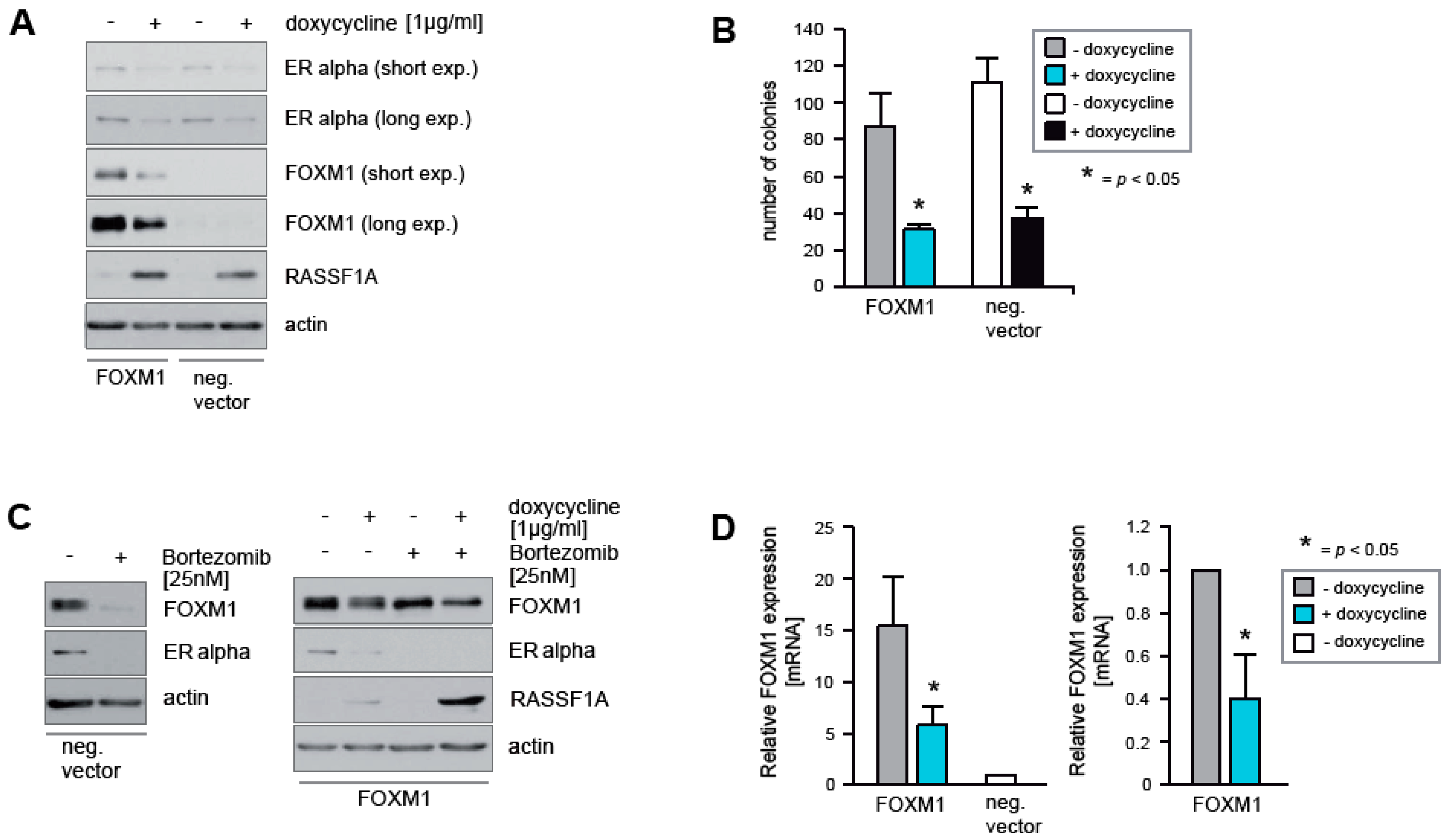 Cancers 12 02689 g003 Cancers 12 02689 g003