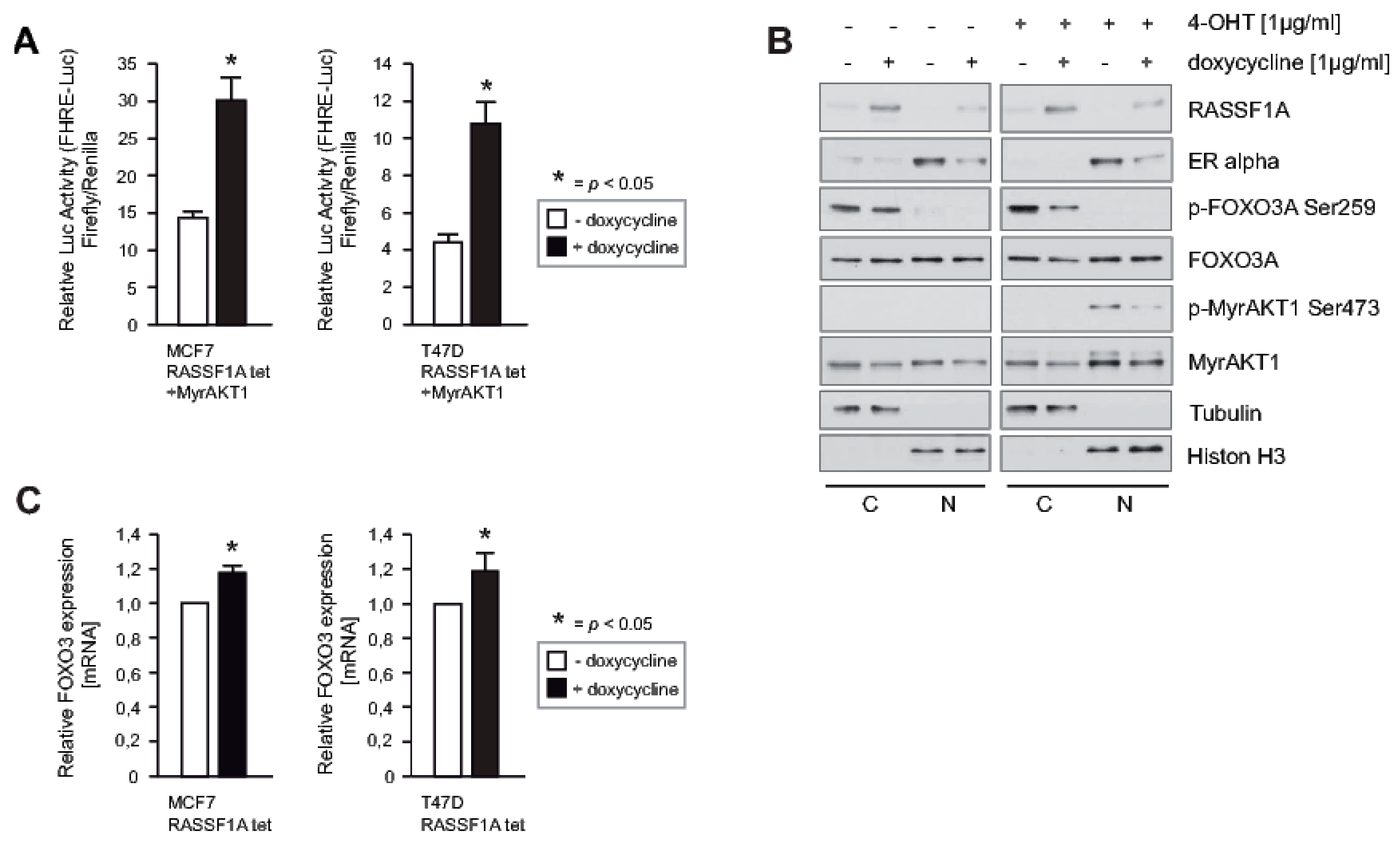 Cancers 12 02689 g005 Cancers 12 02689 g005