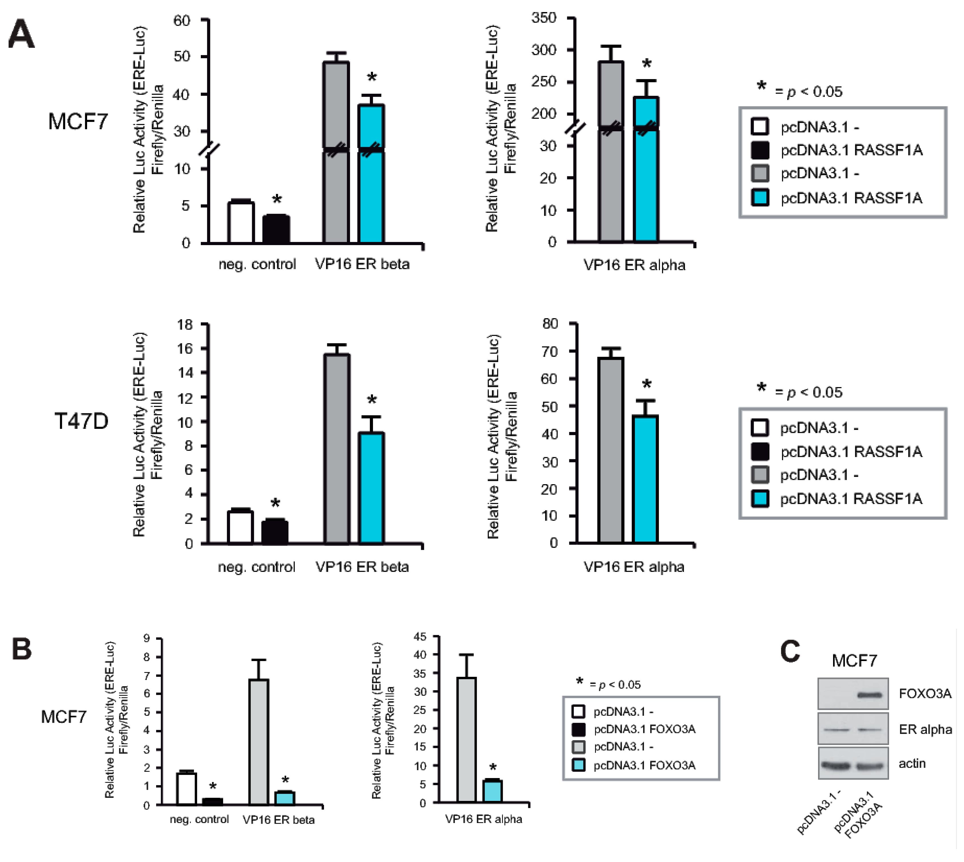 Cancers 12 02689 g006 Cancers 12 02689 g006