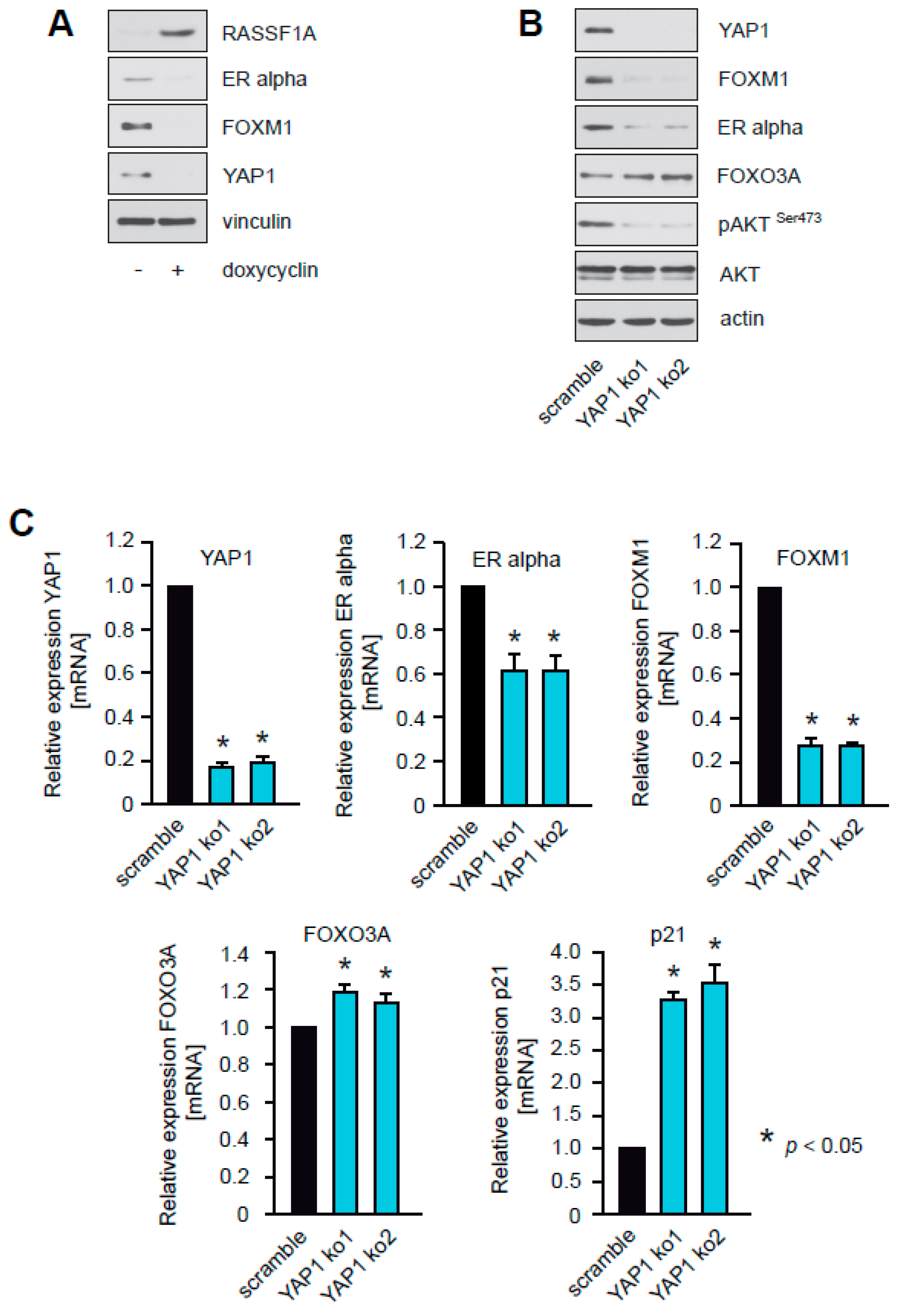 Cancers 12 02689 g008a Cancers 12 02689 g008a
