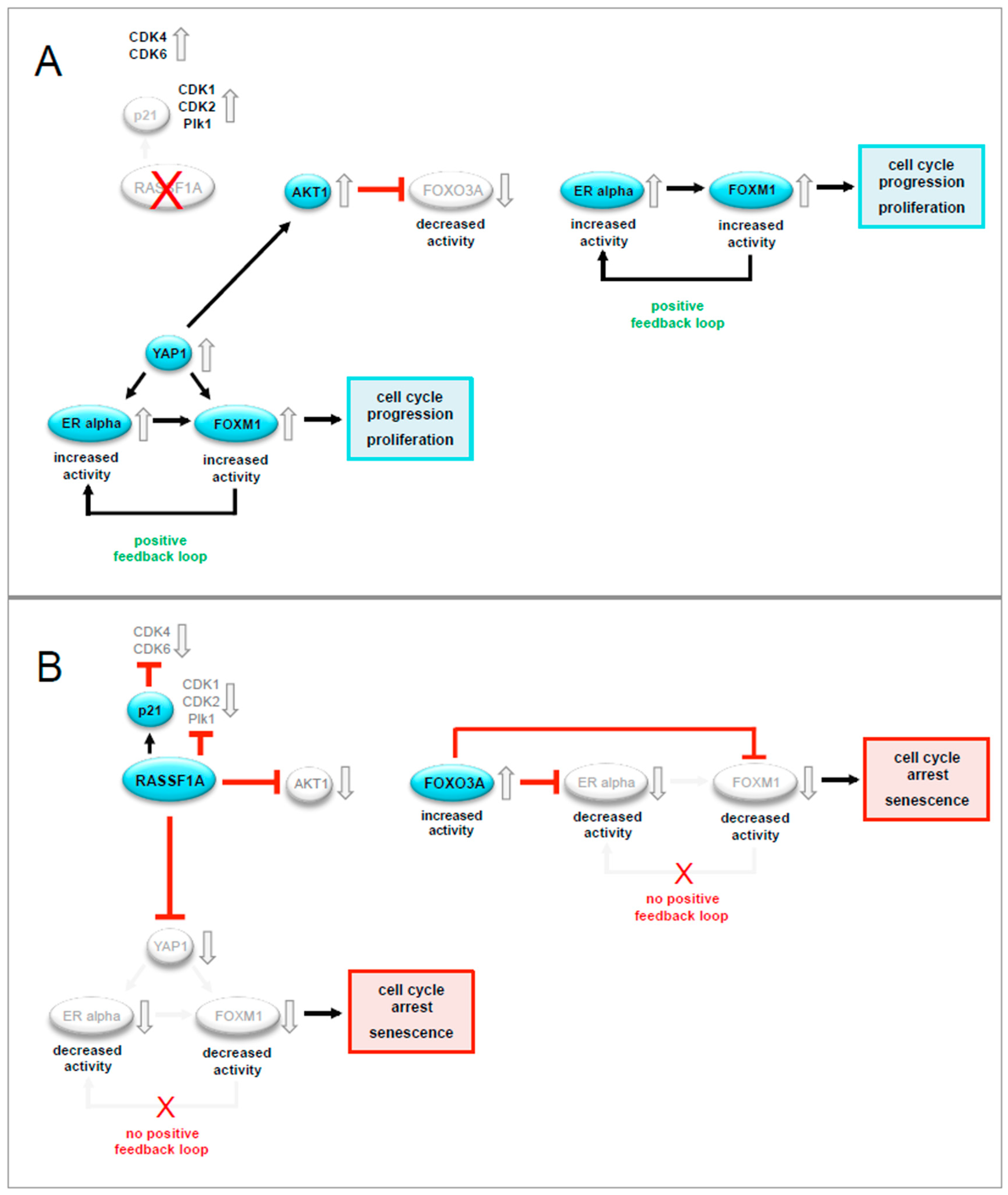 Cancers 12 02689 g009 Cancers 12 02689 g009