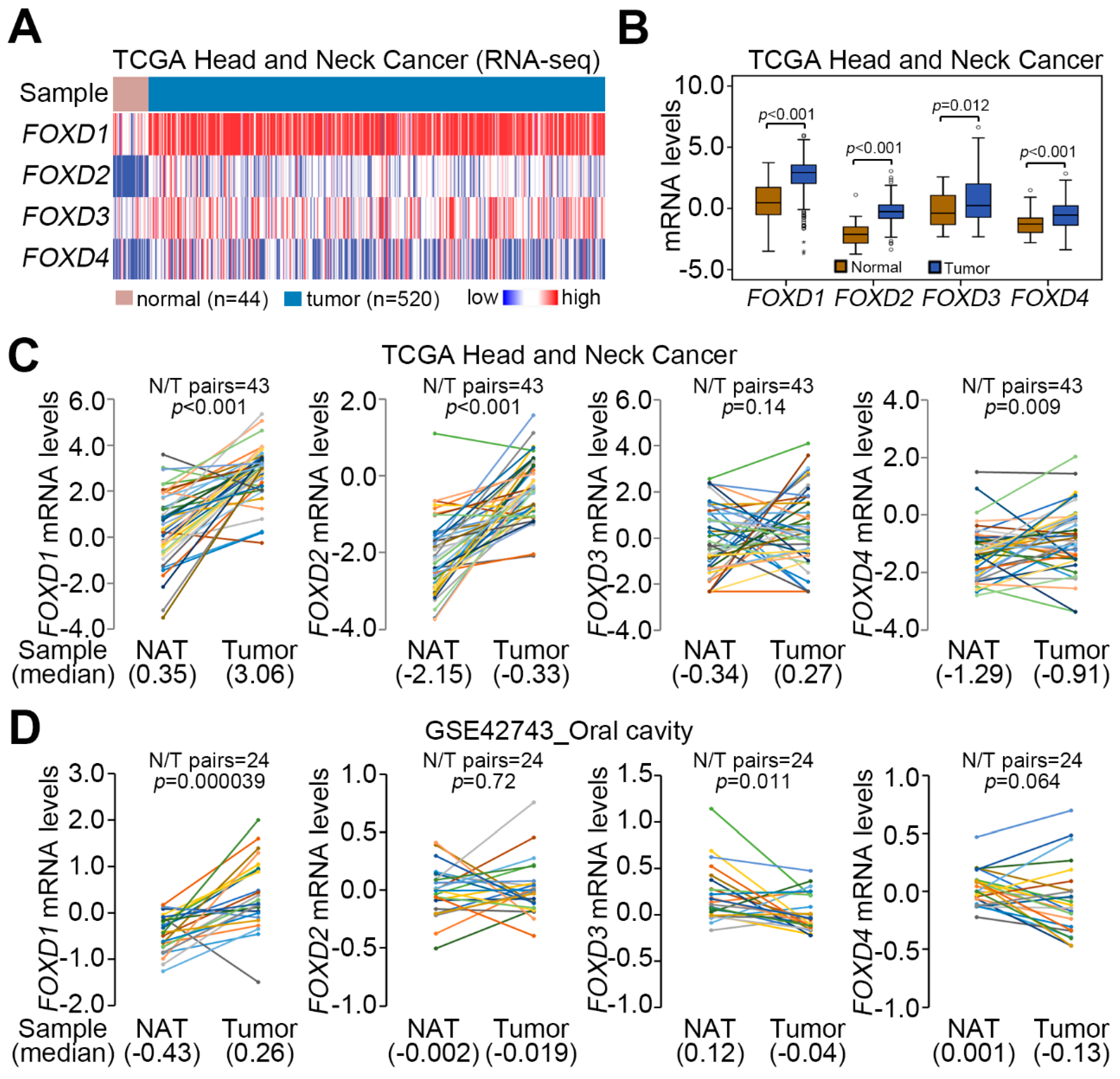 Cancers Free Full Text Foxd1 Repression Potentiates Radiation Effectiveness By Downregulating G3bp2 Expression And Promoting The Activation Of Txnip Related Pathways In Oral Cancer Html