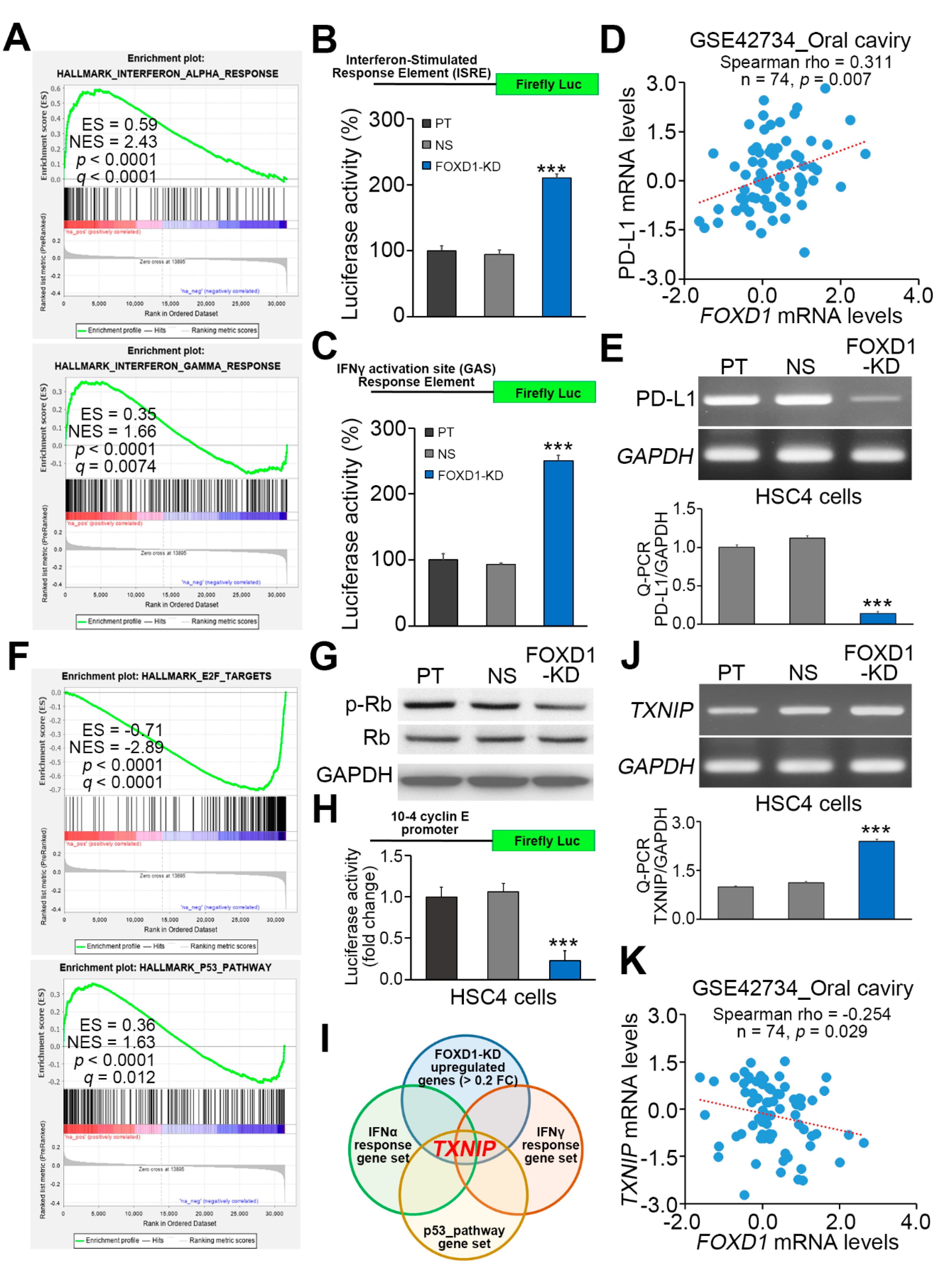 Cancers 12 02690 g005
