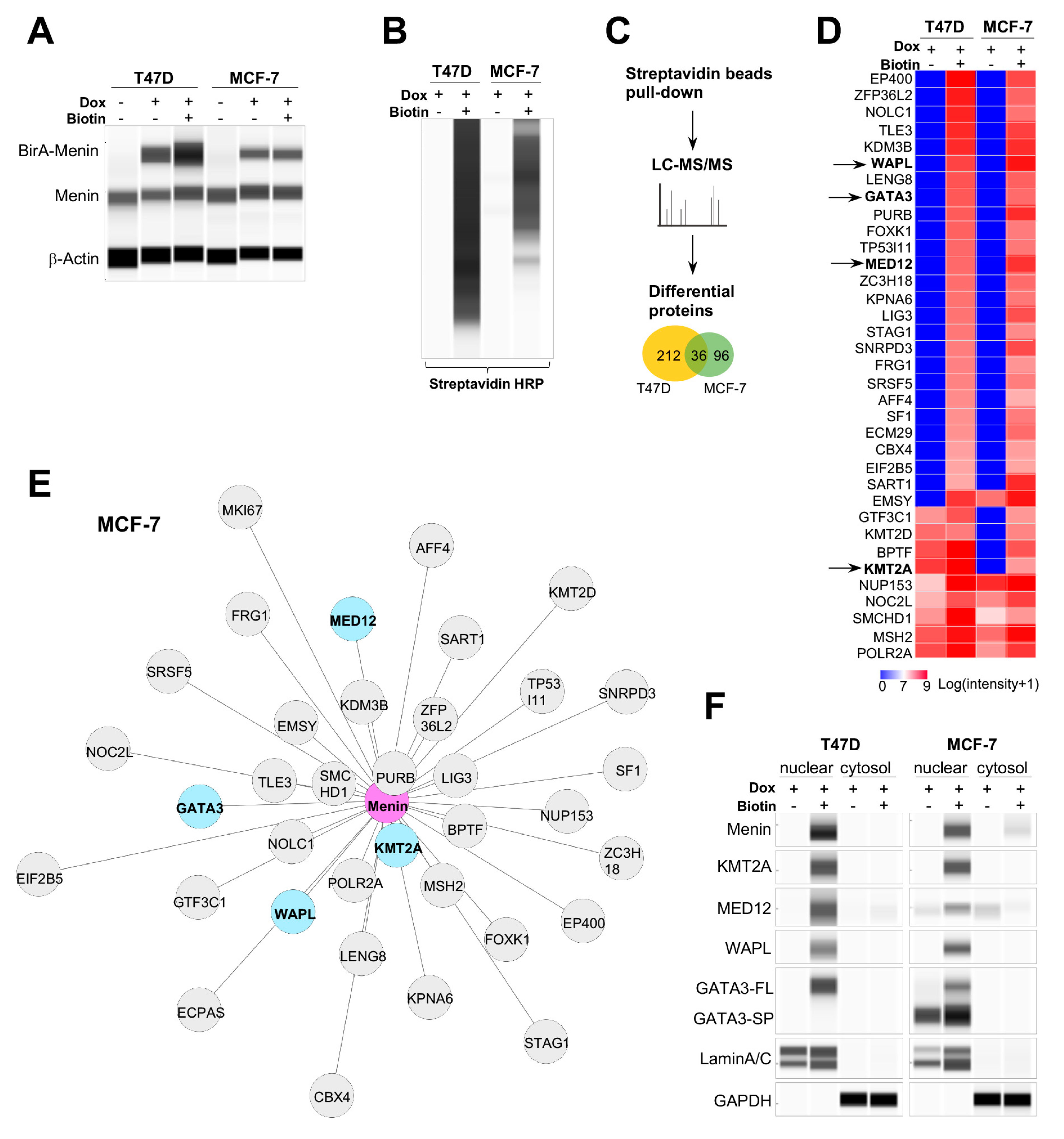 Cancers 12 02715 g002 Cancers 12 02715 g002