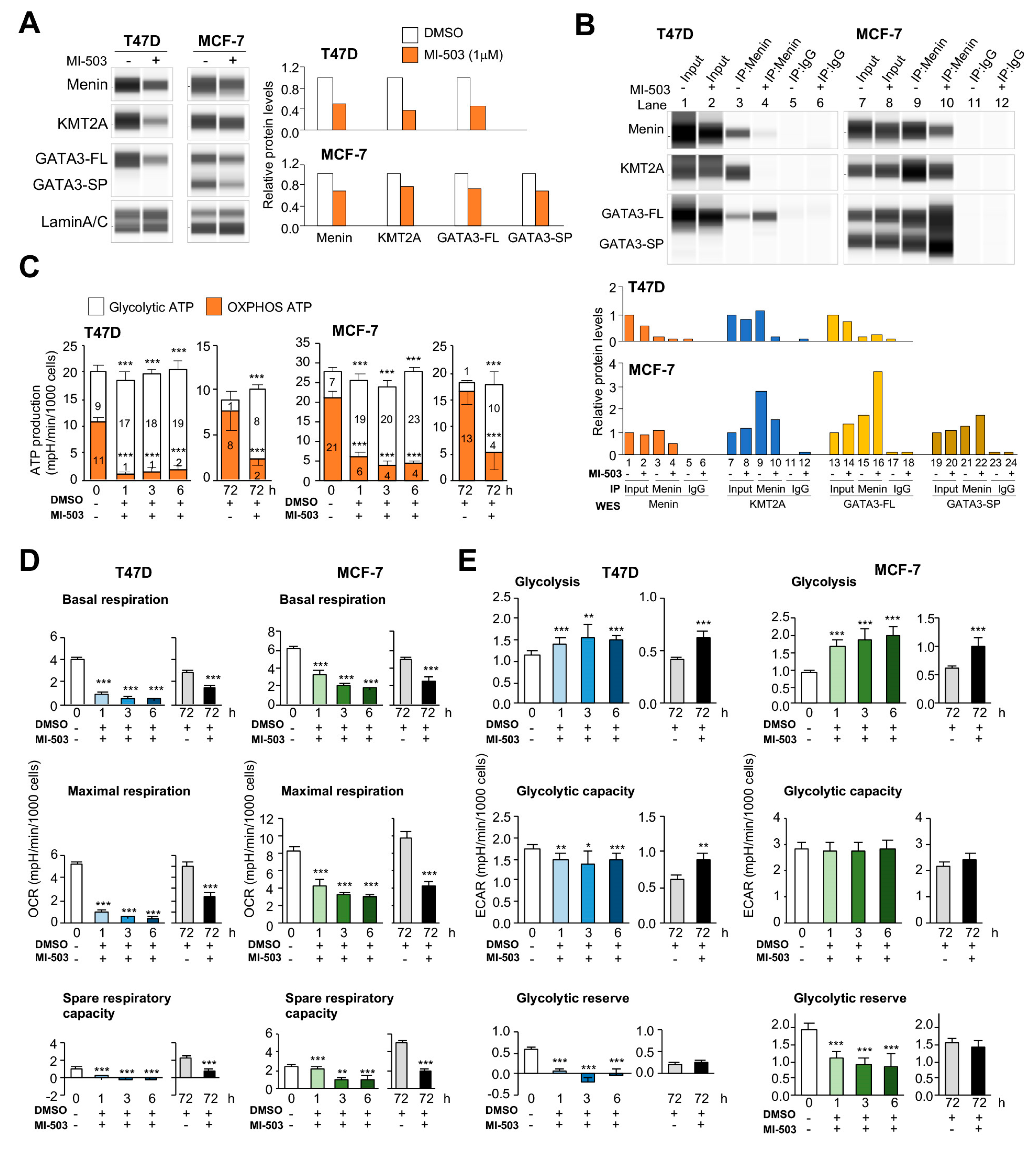 Cancers 12 02715 g005 Cancers 12 02715 g005