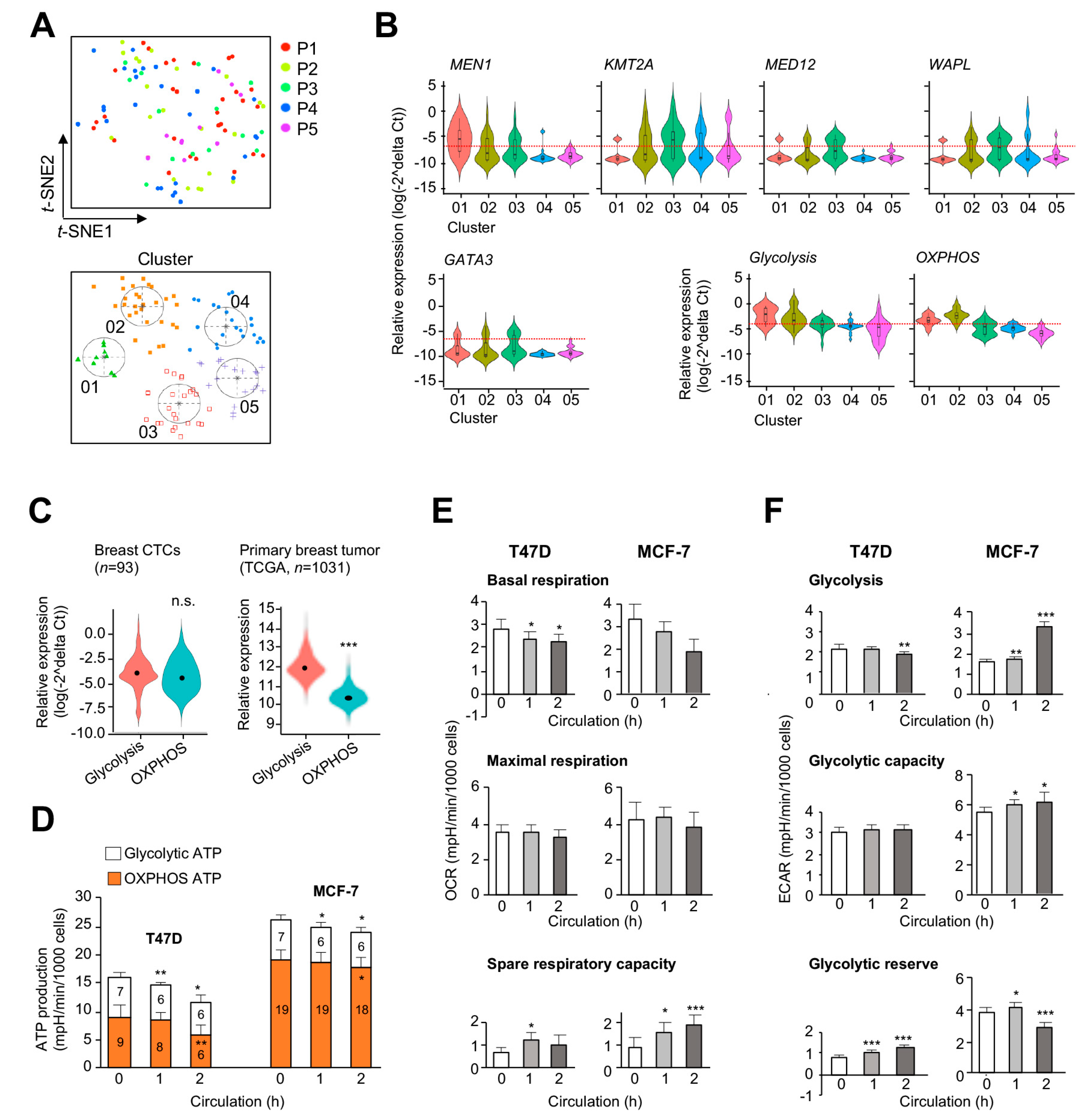 Cancers 12 02715 g006 Cancers 12 02715 g006