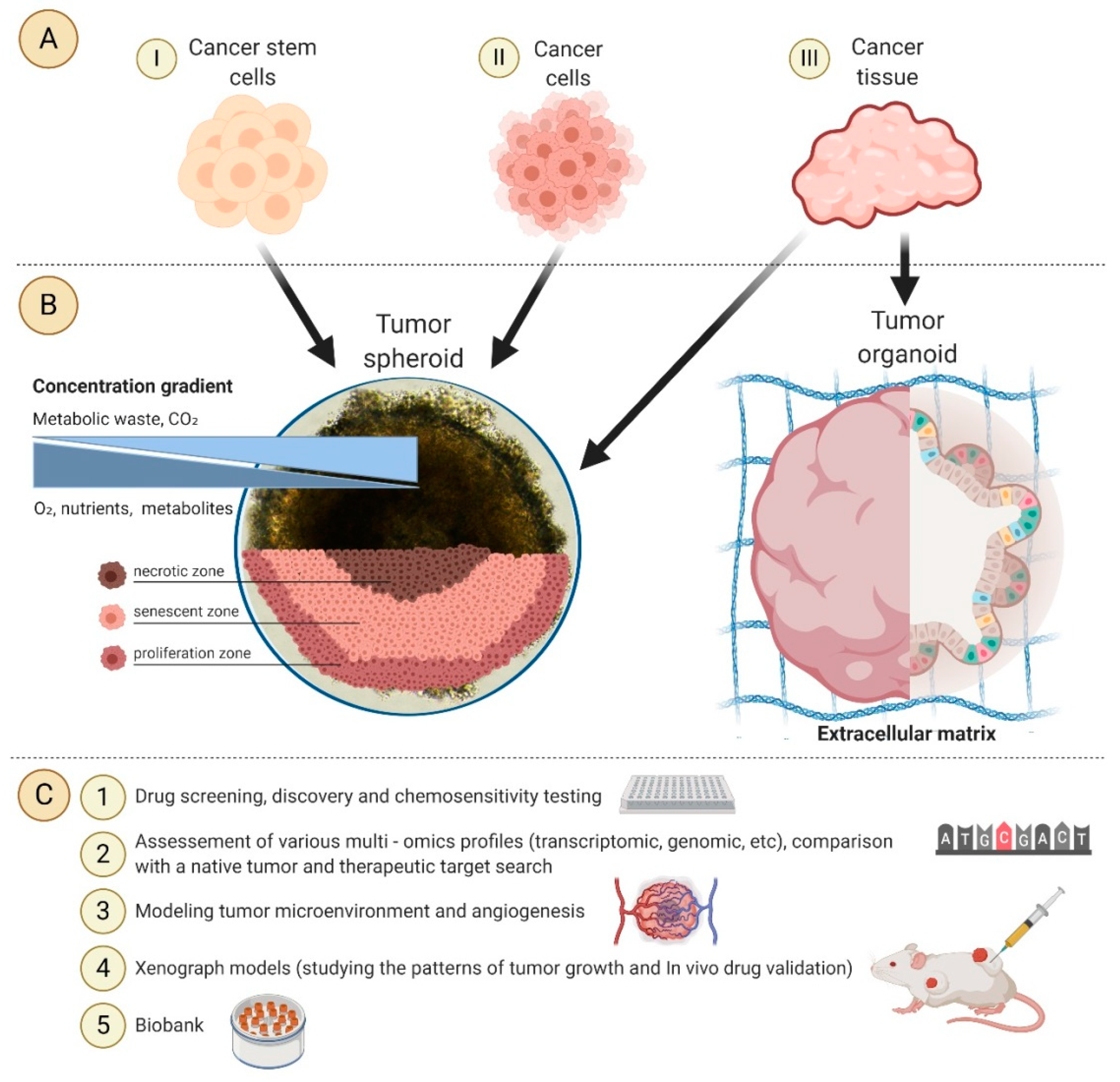 Cancers | Free Full-Text | Promising Applications of Tumor 