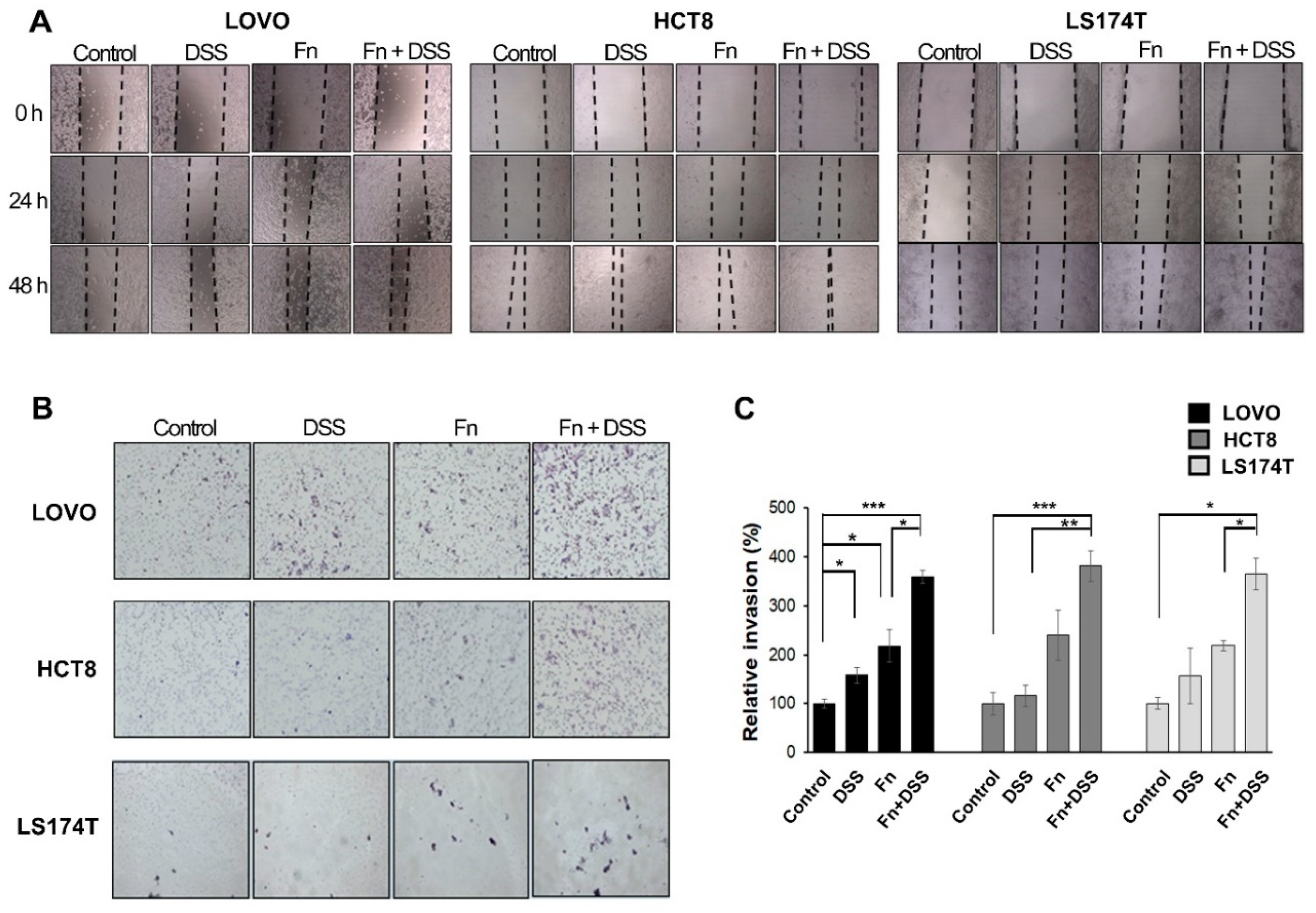 Cancers 12 02728 g003