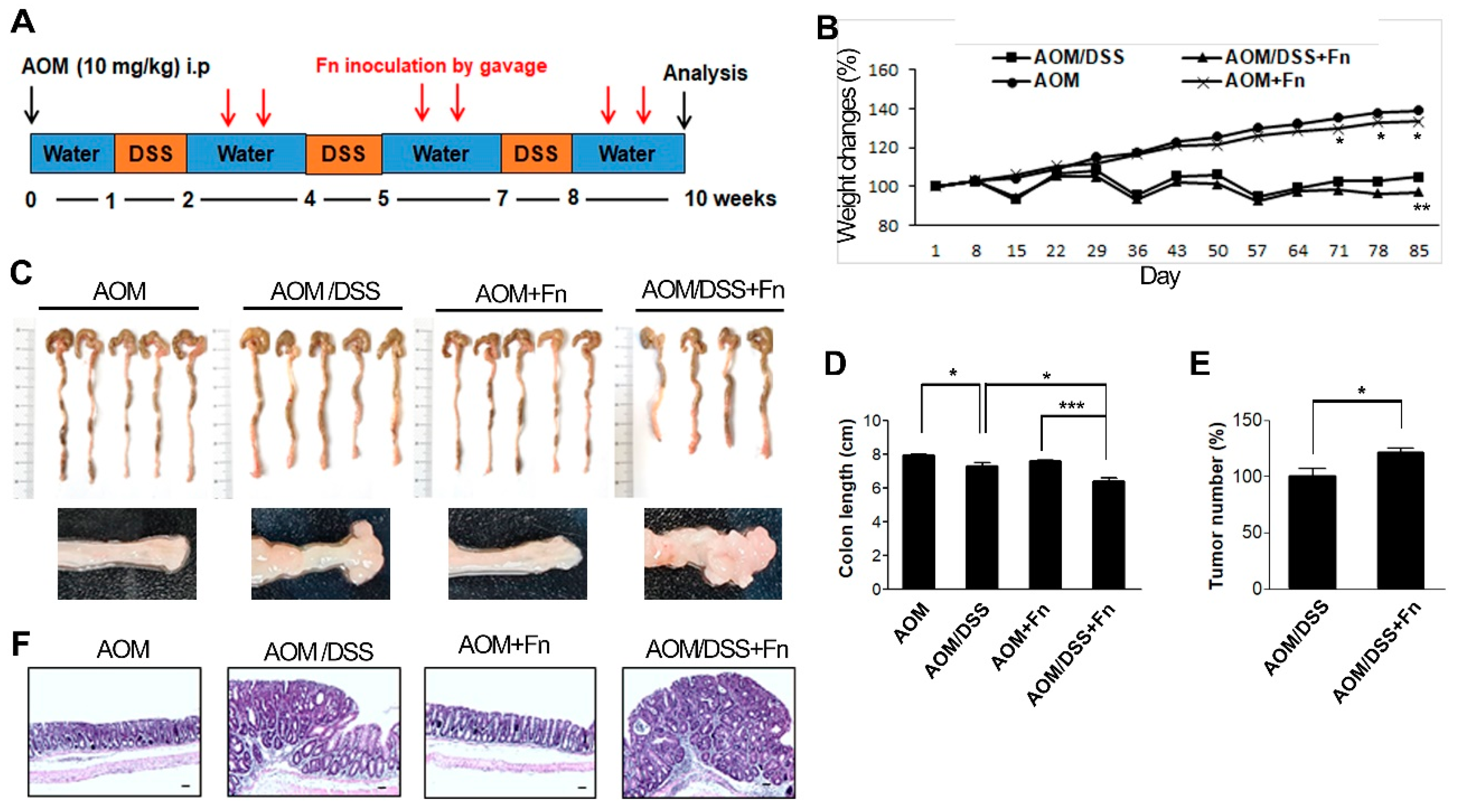 Cancers 12 02728 g005