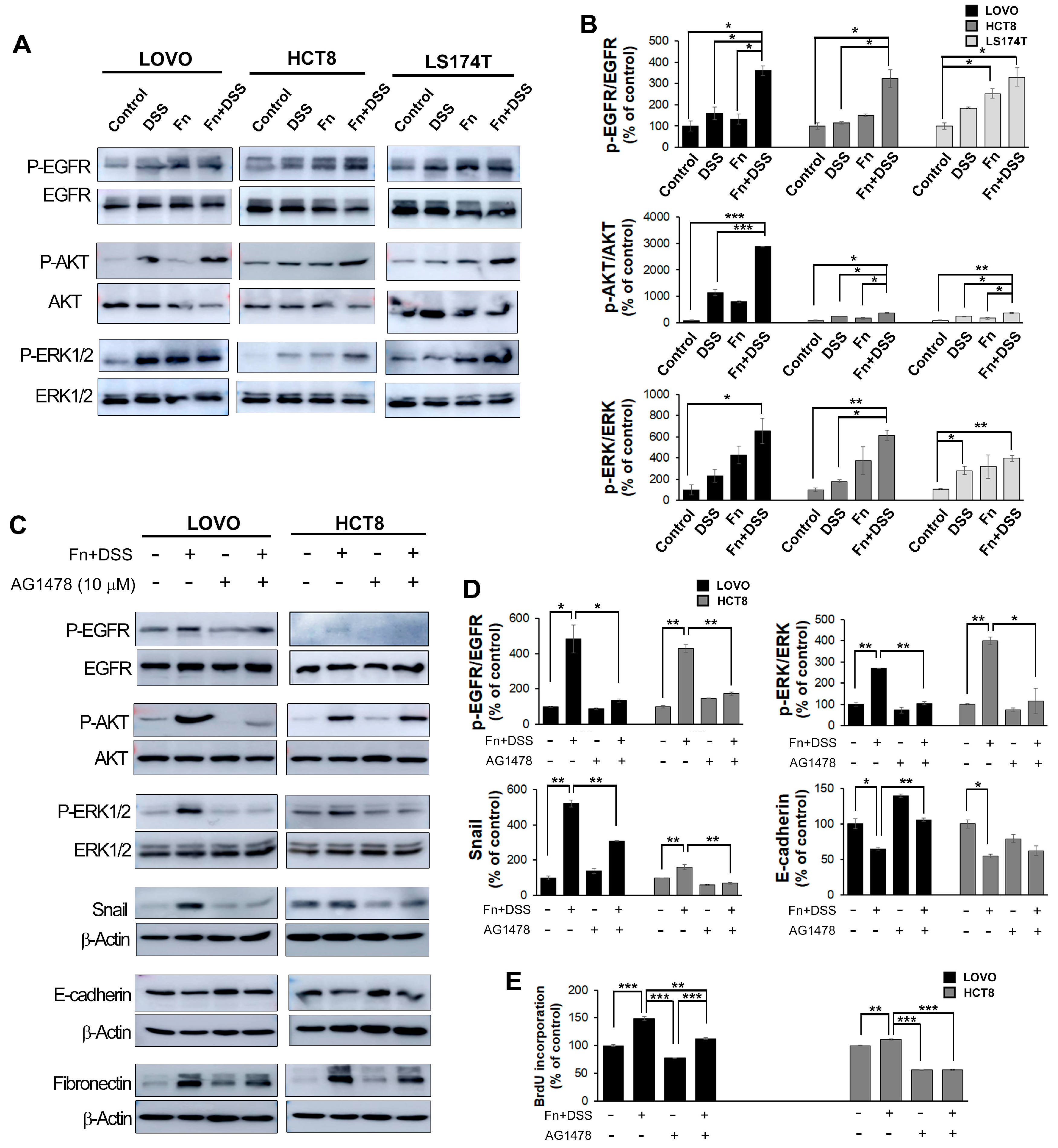Cancers 12 02728 g007