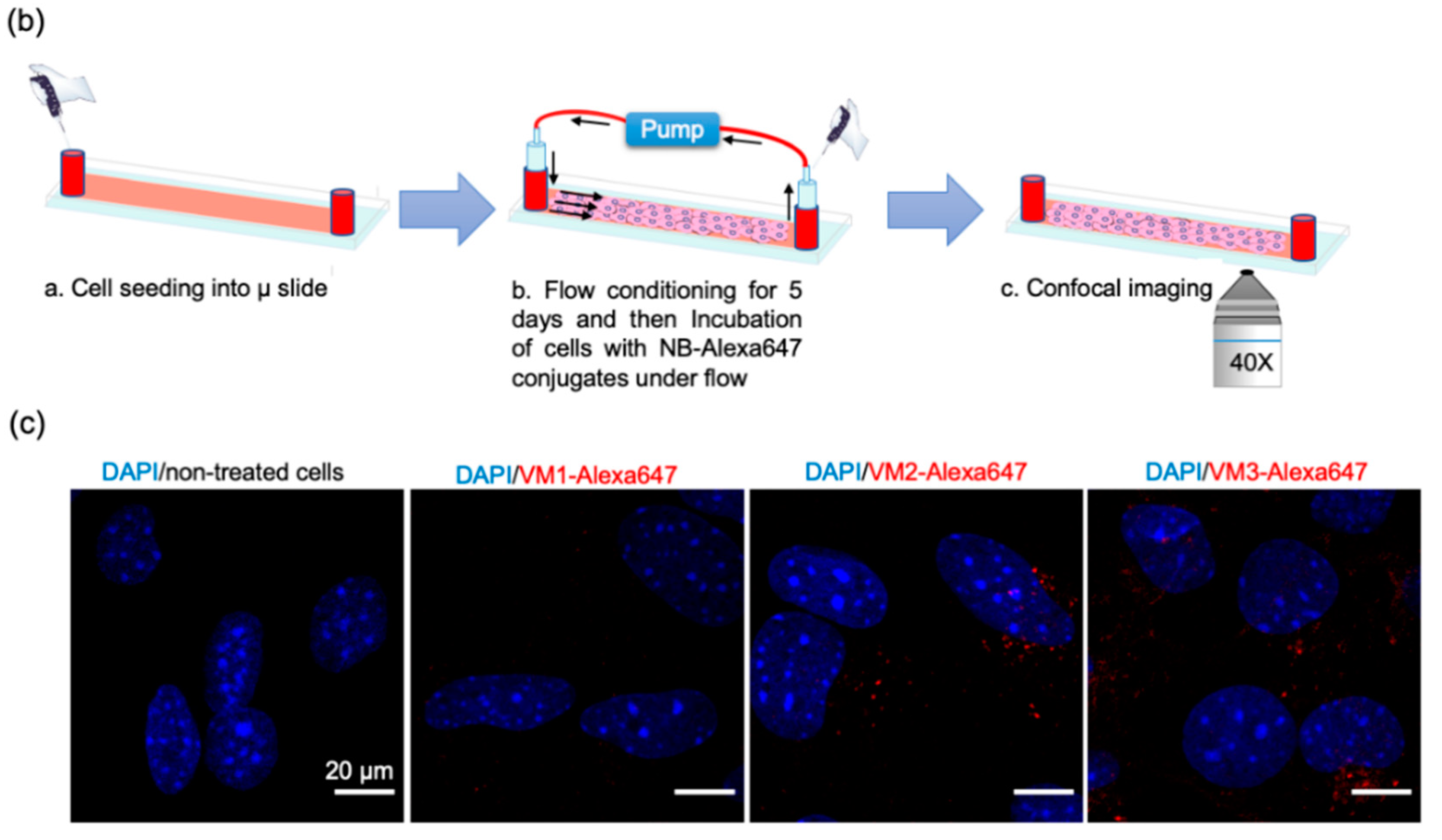 Cancers 12 02732 g002b